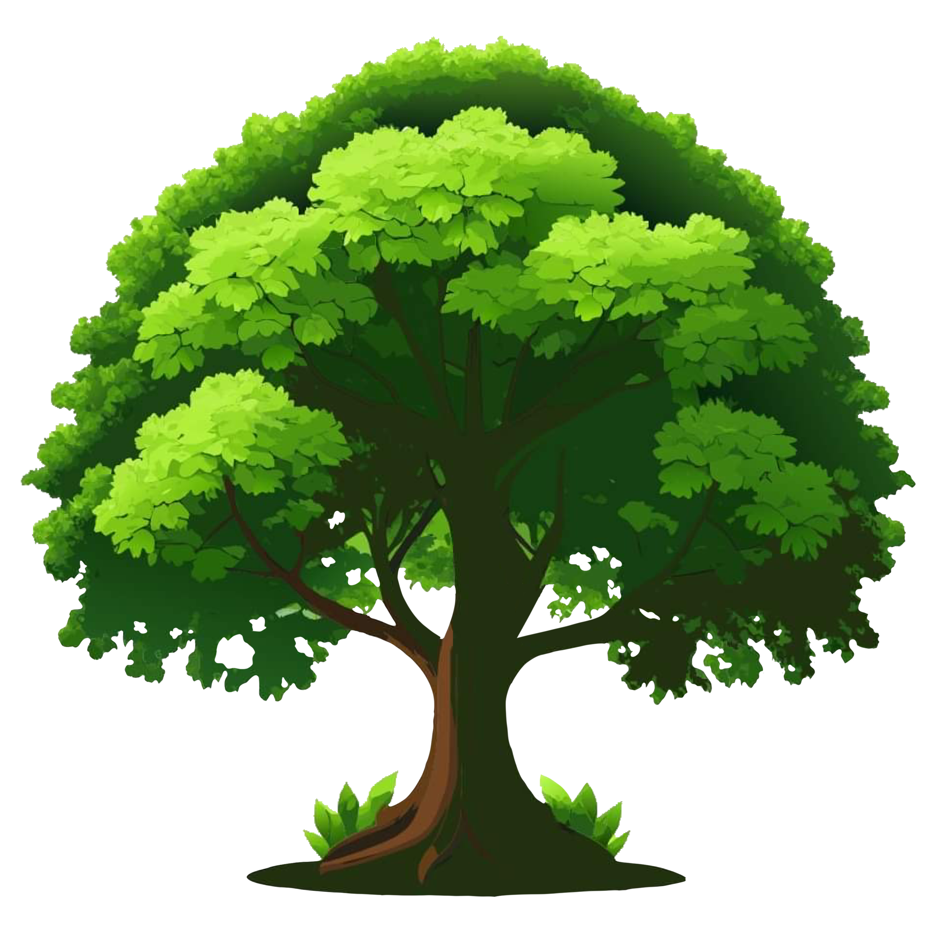 Broad Trunk Tropical Trees: A Photographic Journey - gqwfz1c