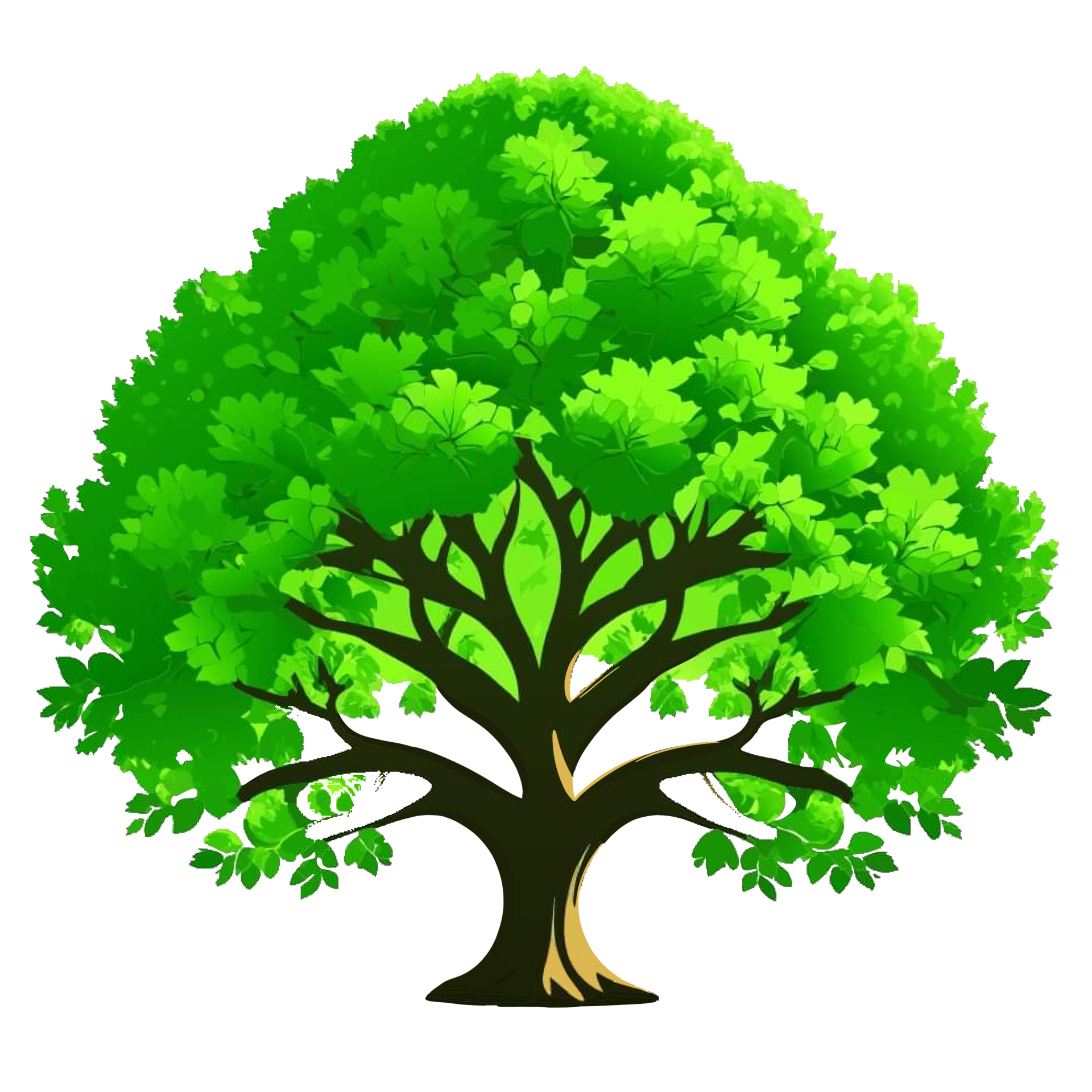 Broad Trunk Tropical Trees: A Photographic Journey - t6qwbln