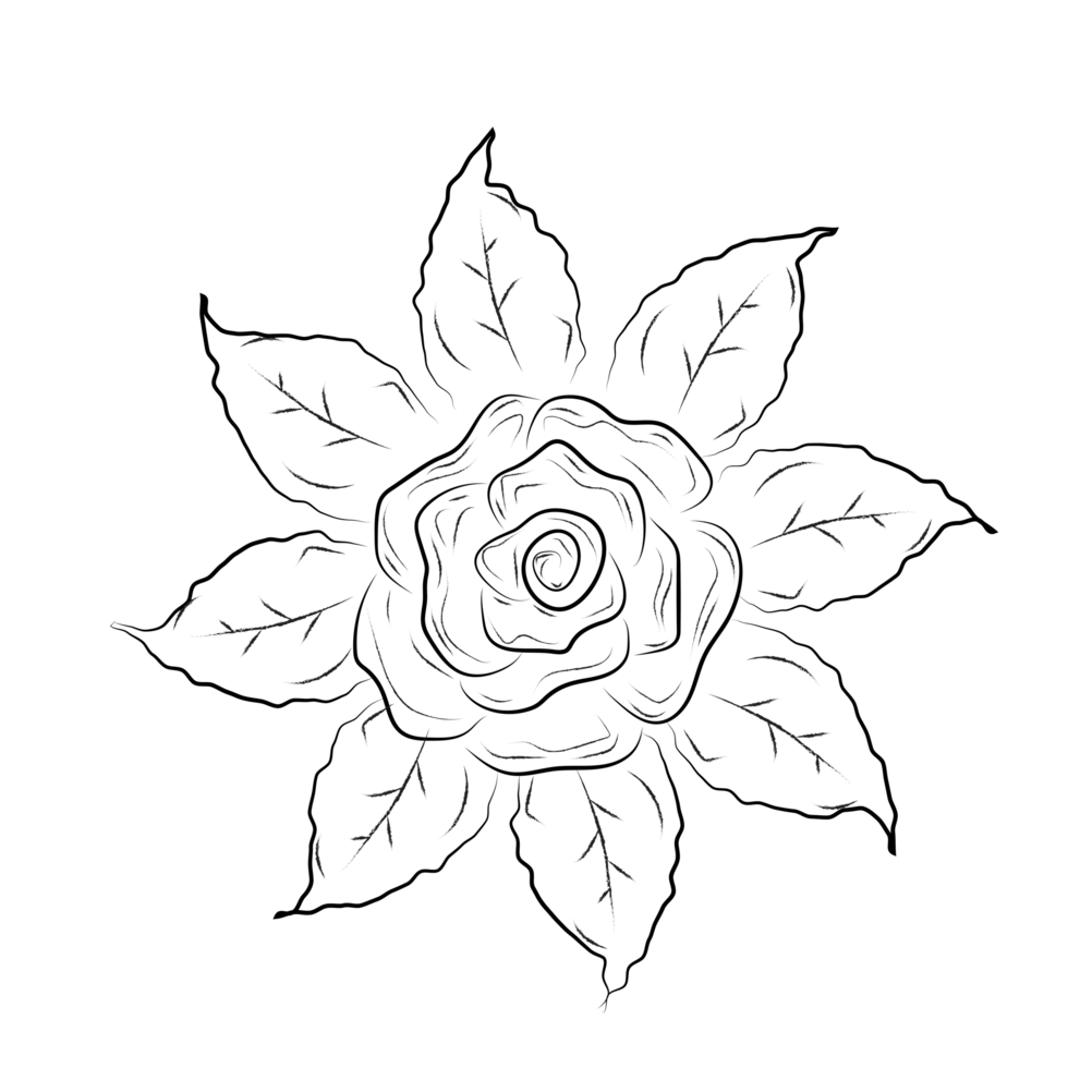 black outline rose with leaf circle png