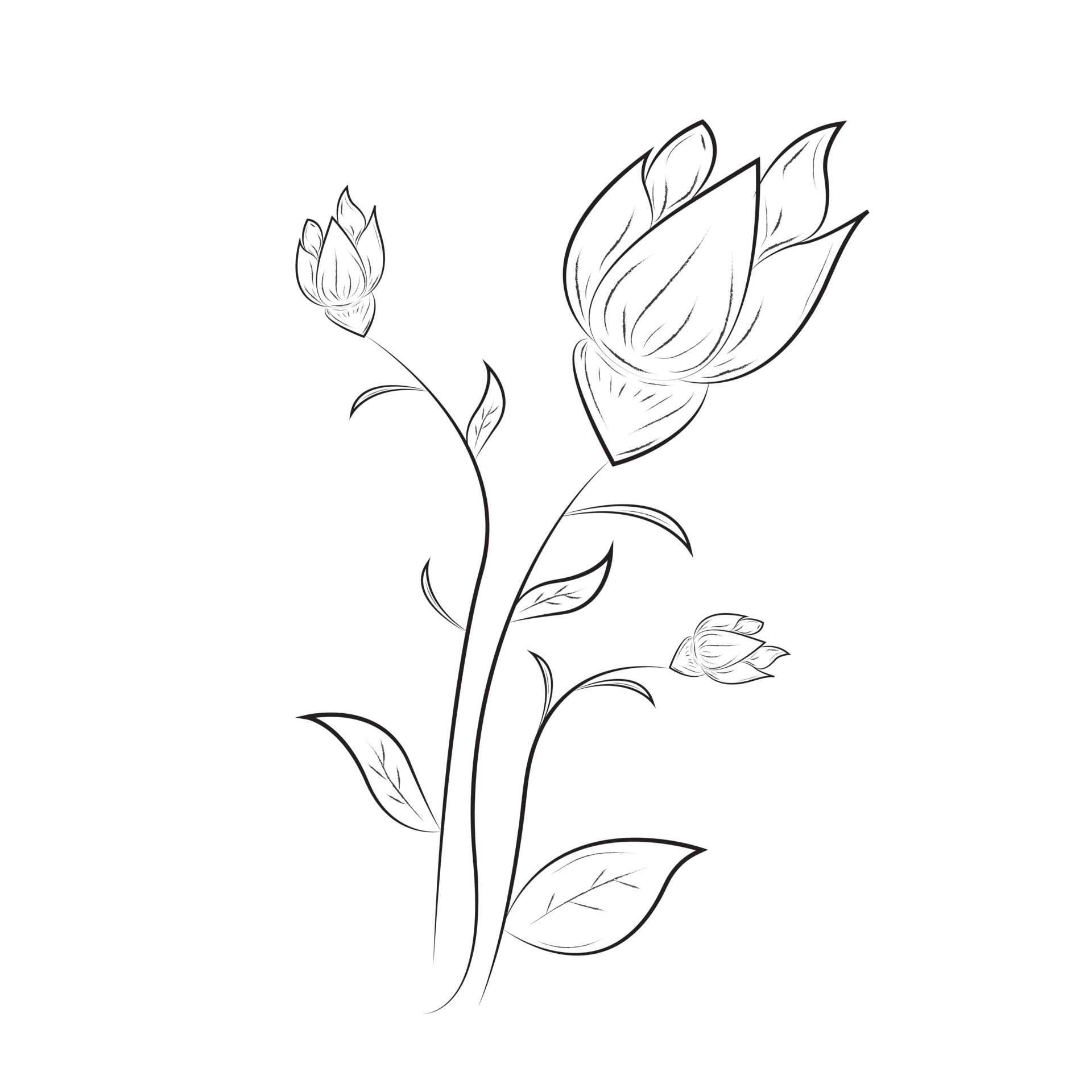 black-and-white-floral-clipart-png-image-26793703-png