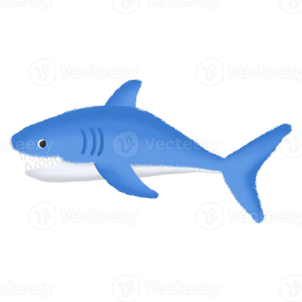Shark in the sea png