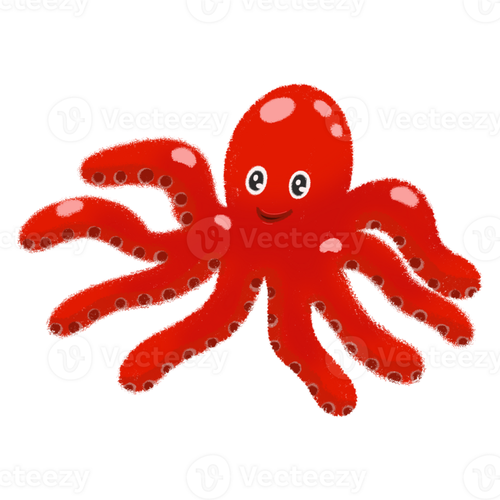 Octopus squid in the sea png