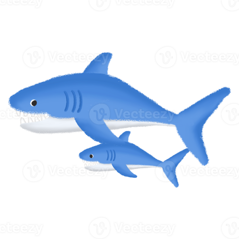 Shark in the sea png