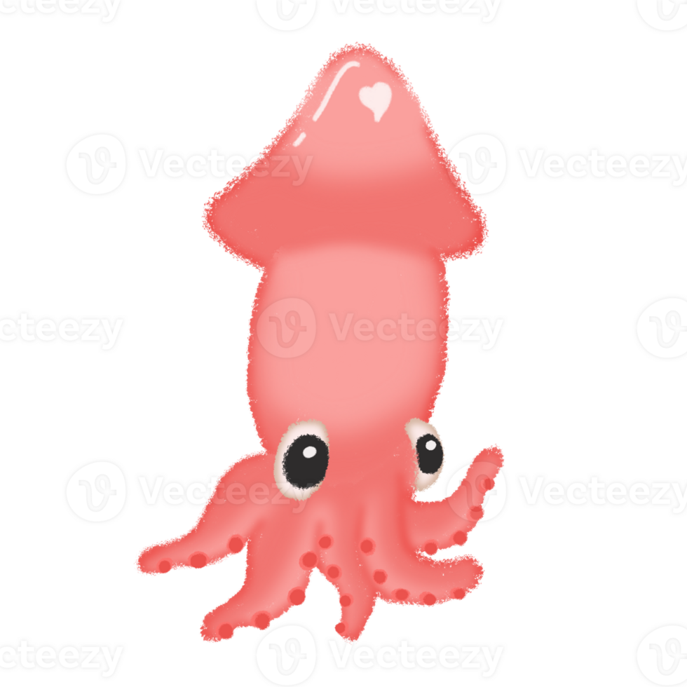 Octopus squid in the sea png