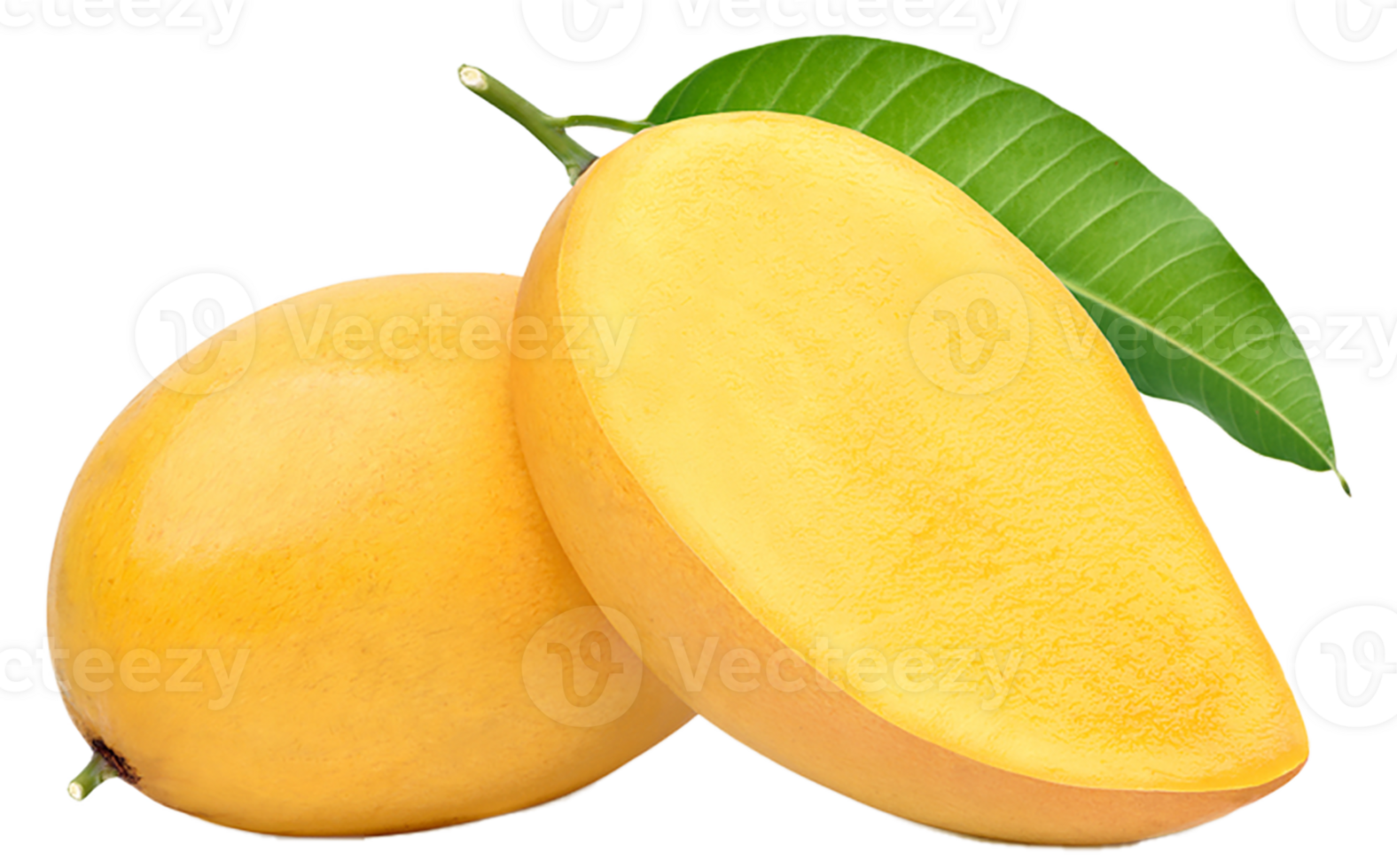 mango fruit tropical transparent png