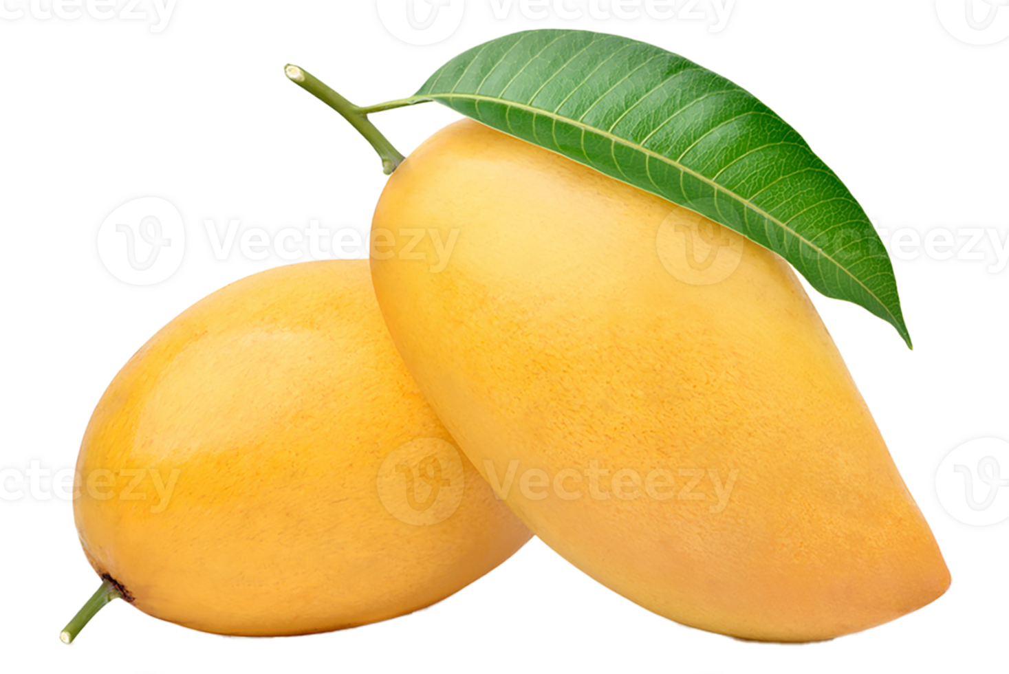 mango fruit tropical transparent 26795000 PNG