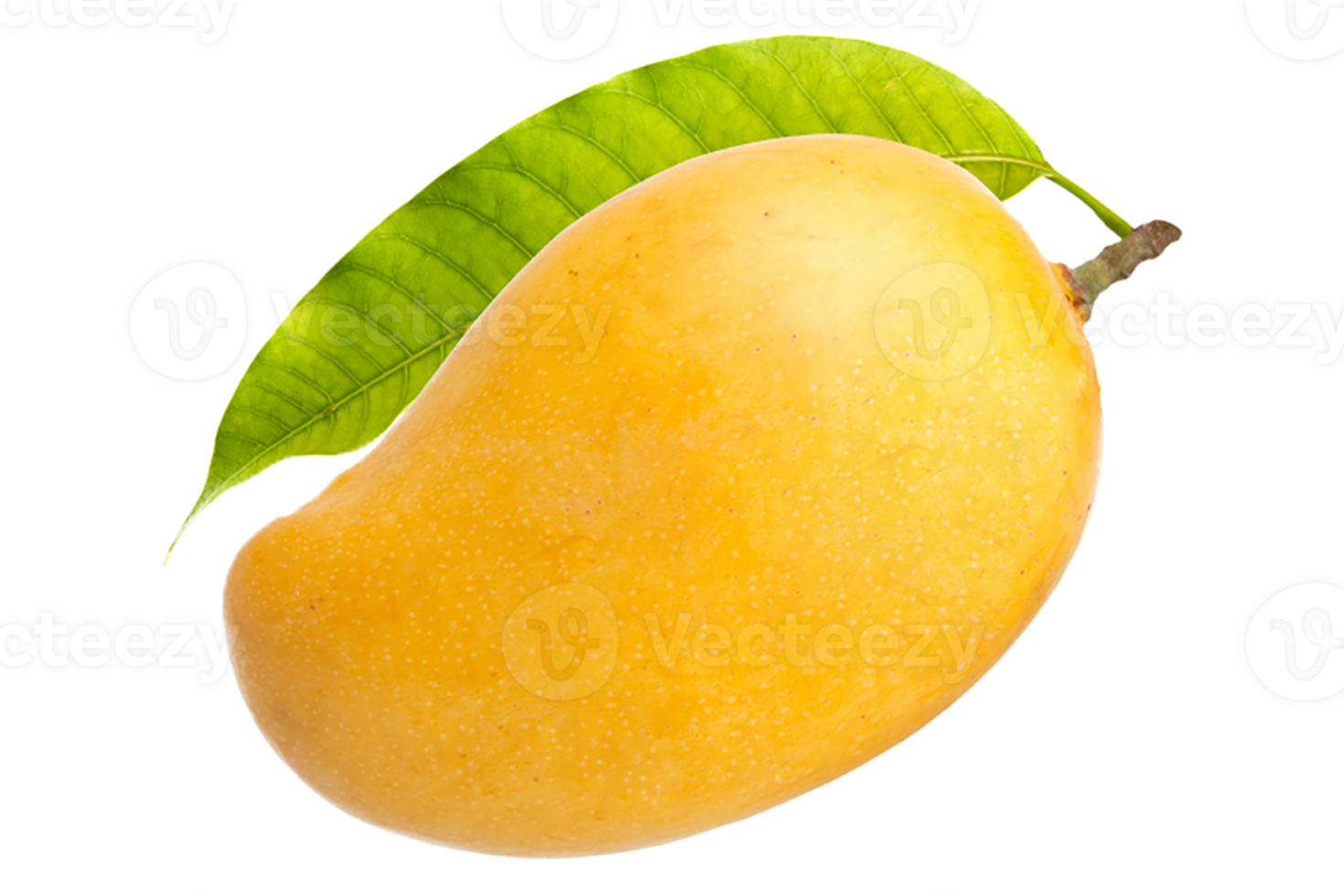 mango Fruta tropical transparente png