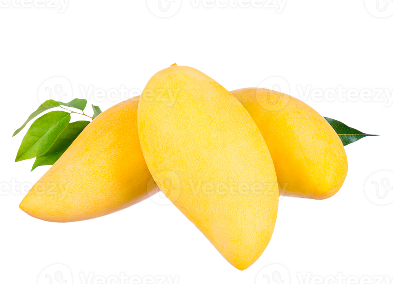 mango fruit tropical transparent png