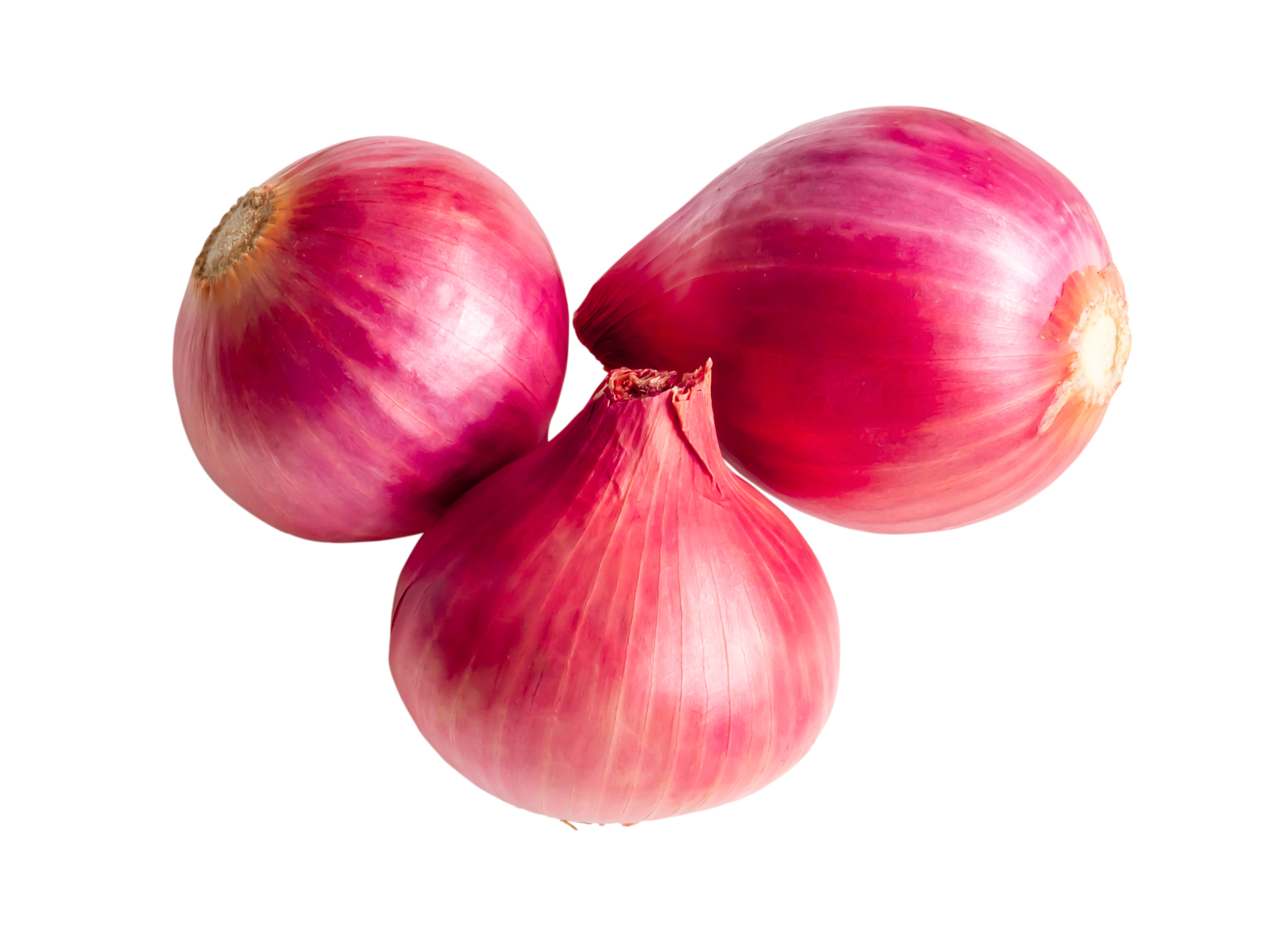 Top view of fresh red onions in stack isolated with clipping path in
