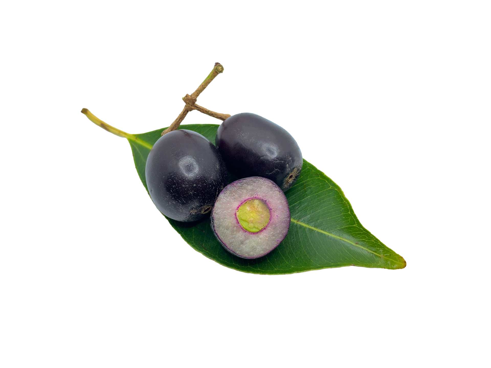Jambola java plum with green a leaf 26795301 PNG