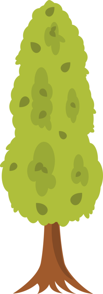 tree illustration with leaves. tree with thick foliage. free png