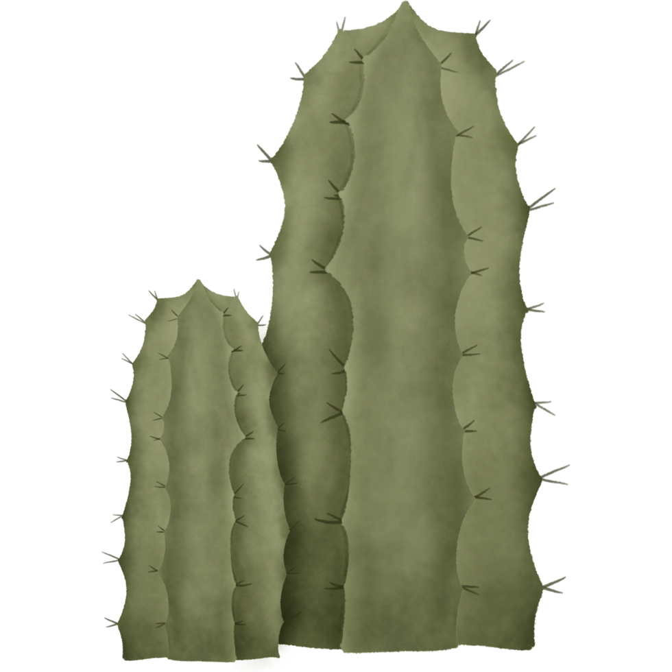 The cactus has green spikes. Designed for digital use, design, web design, reports, worksheets, templates. png