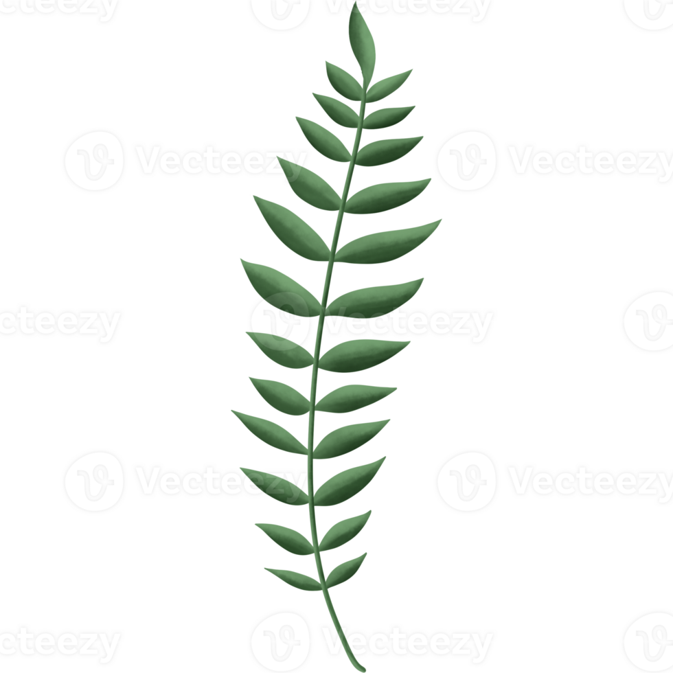 verdura elementi alberi foglie.disegnate per digitale uso decorazione, sito web, pagina e generale digitale opera png
