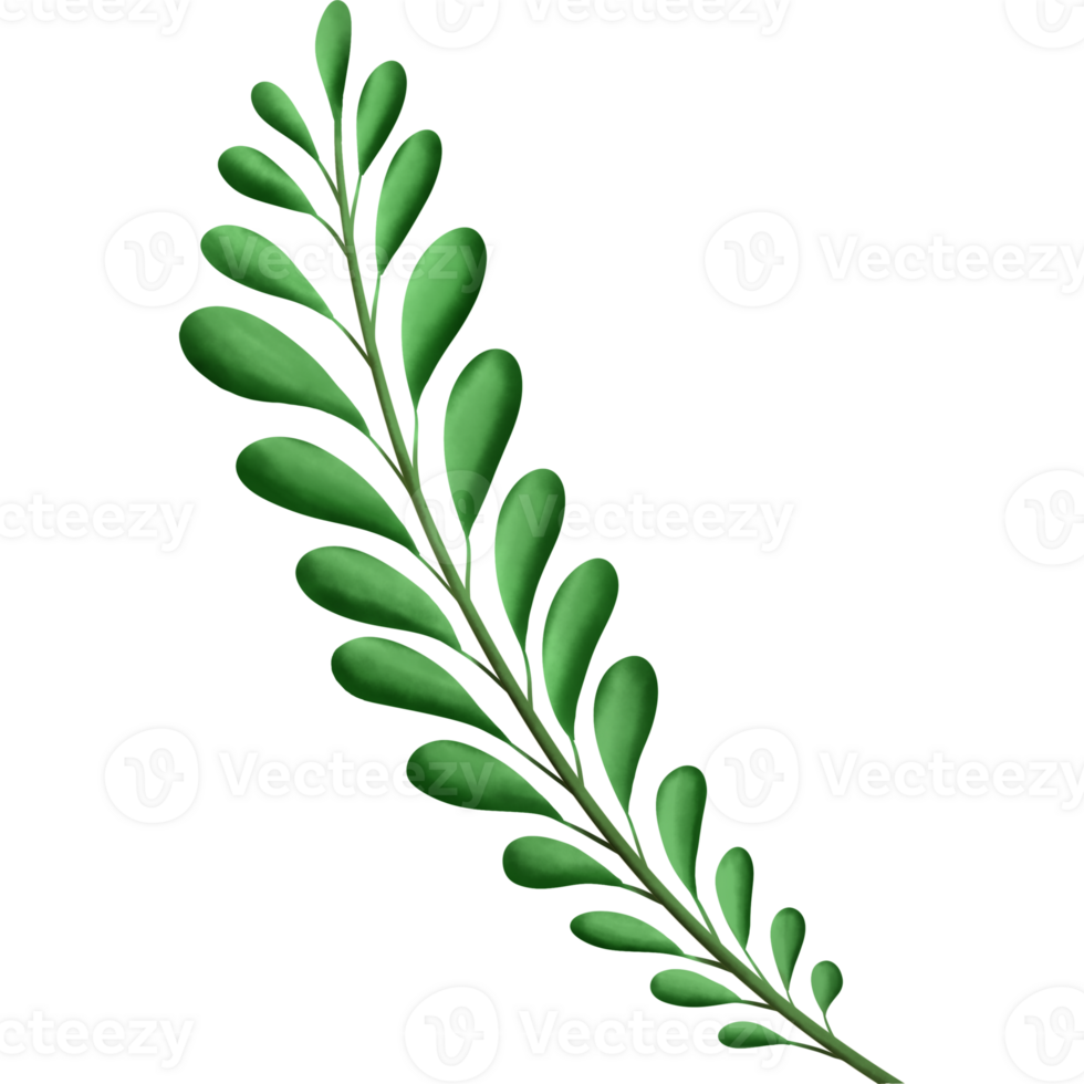 Greenery elements trees leaves.designed for digital use decoration, website, page and general digital work png