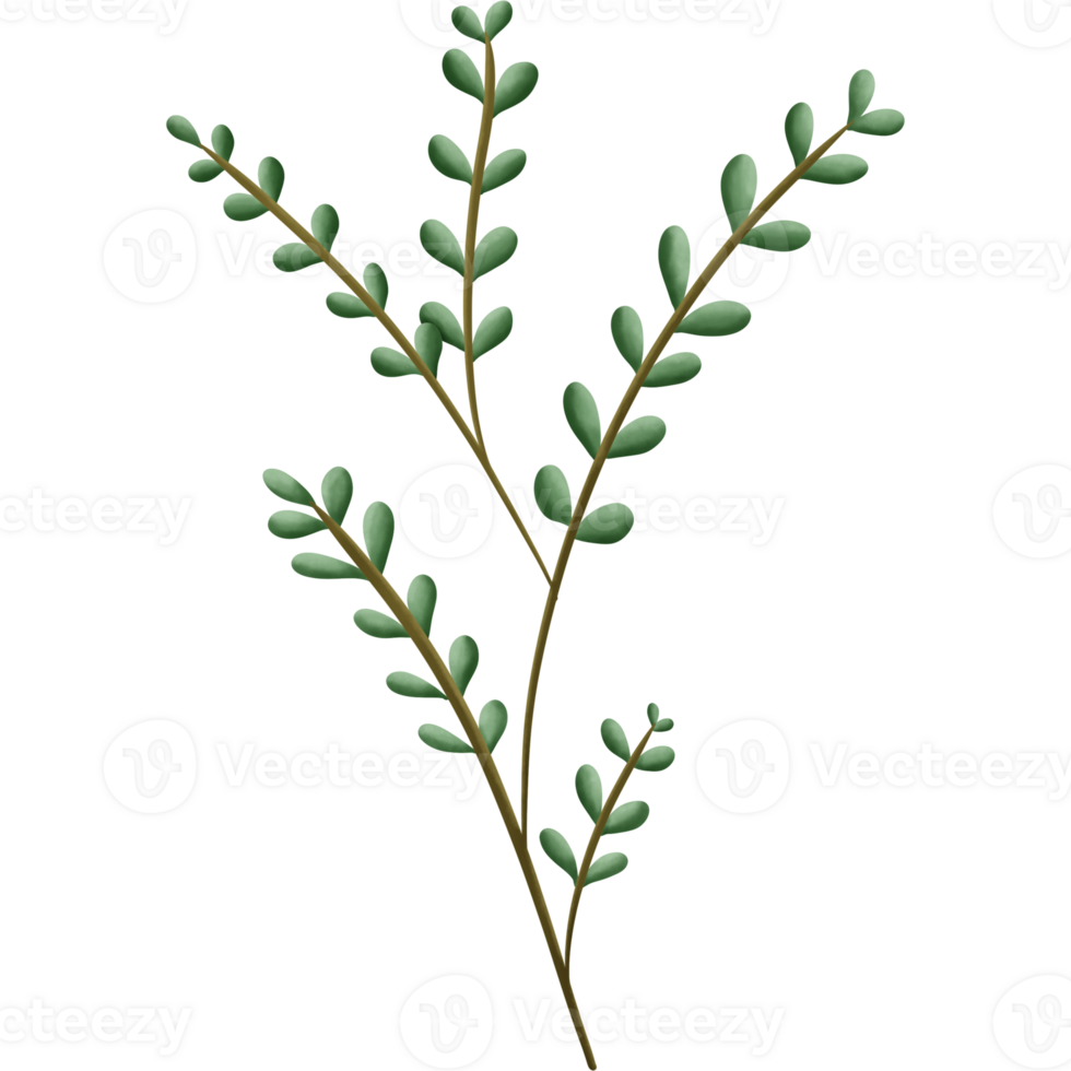 verdura elementi alberi foglie.disegnate per digitale uso decorazione, sito web, pagina e generale digitale opera png