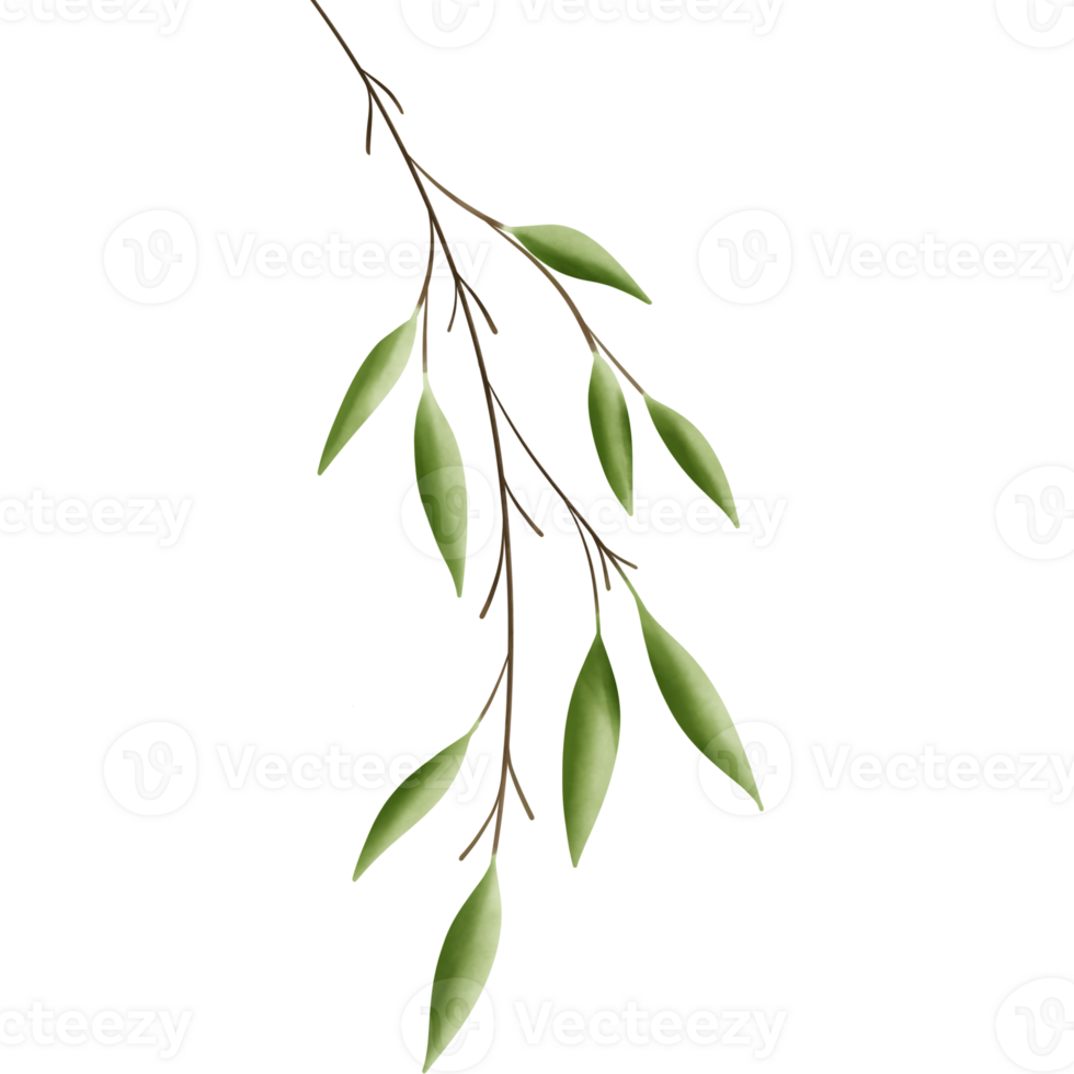 Greenery elements trees leaves.designed for digital use decoration, website, page and general digital work png
