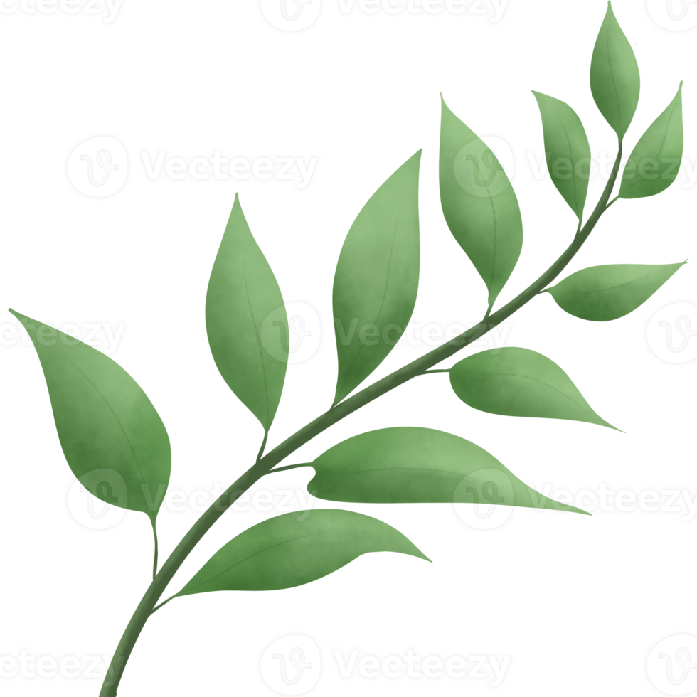 Greenery elements trees leaves.designed for digital use decoration, website, page and general digital work png