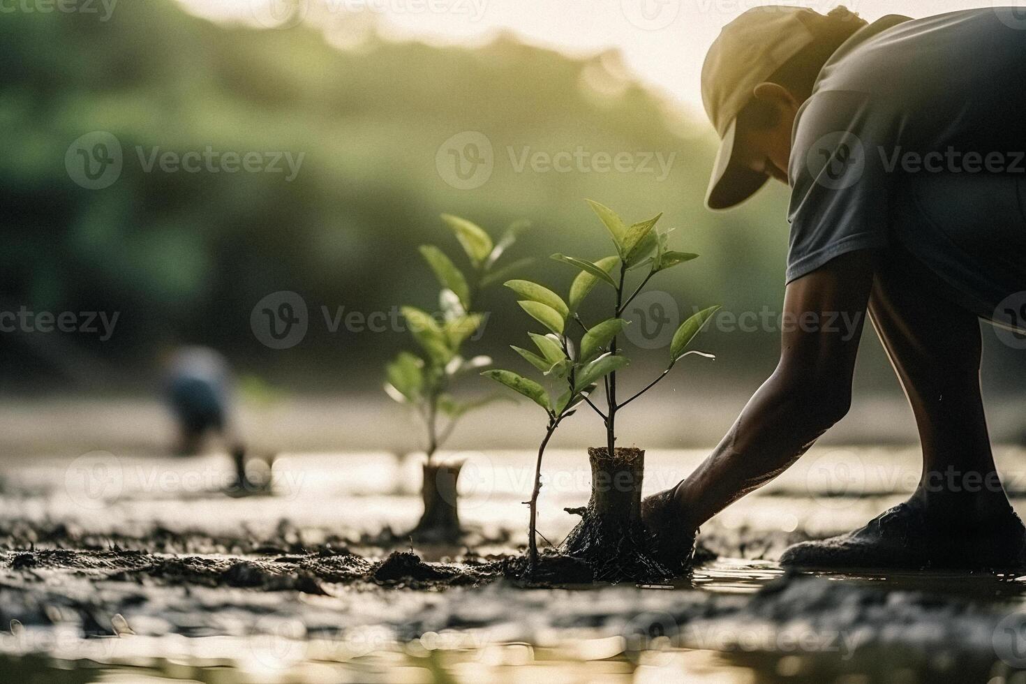 Restoring the Coastline Community Engagement in Planting Mangroves for Environment Conservation and Habitat Restoration on Earth Day, Promoting Sustainability. Earth day photo