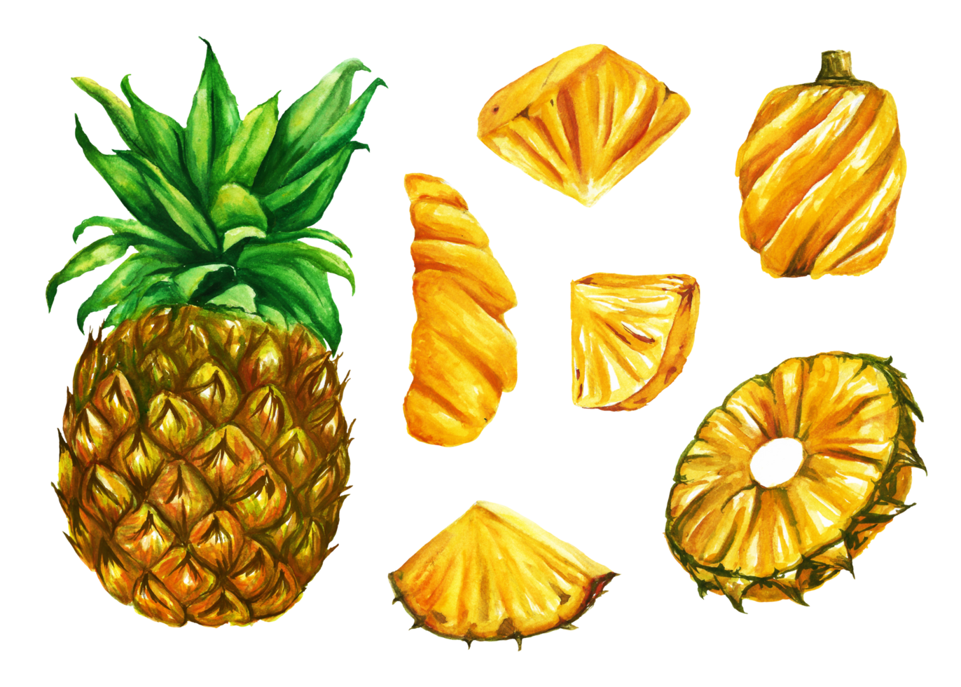 Watercolor painted pineapple, Hand drawn ripe pineapple png