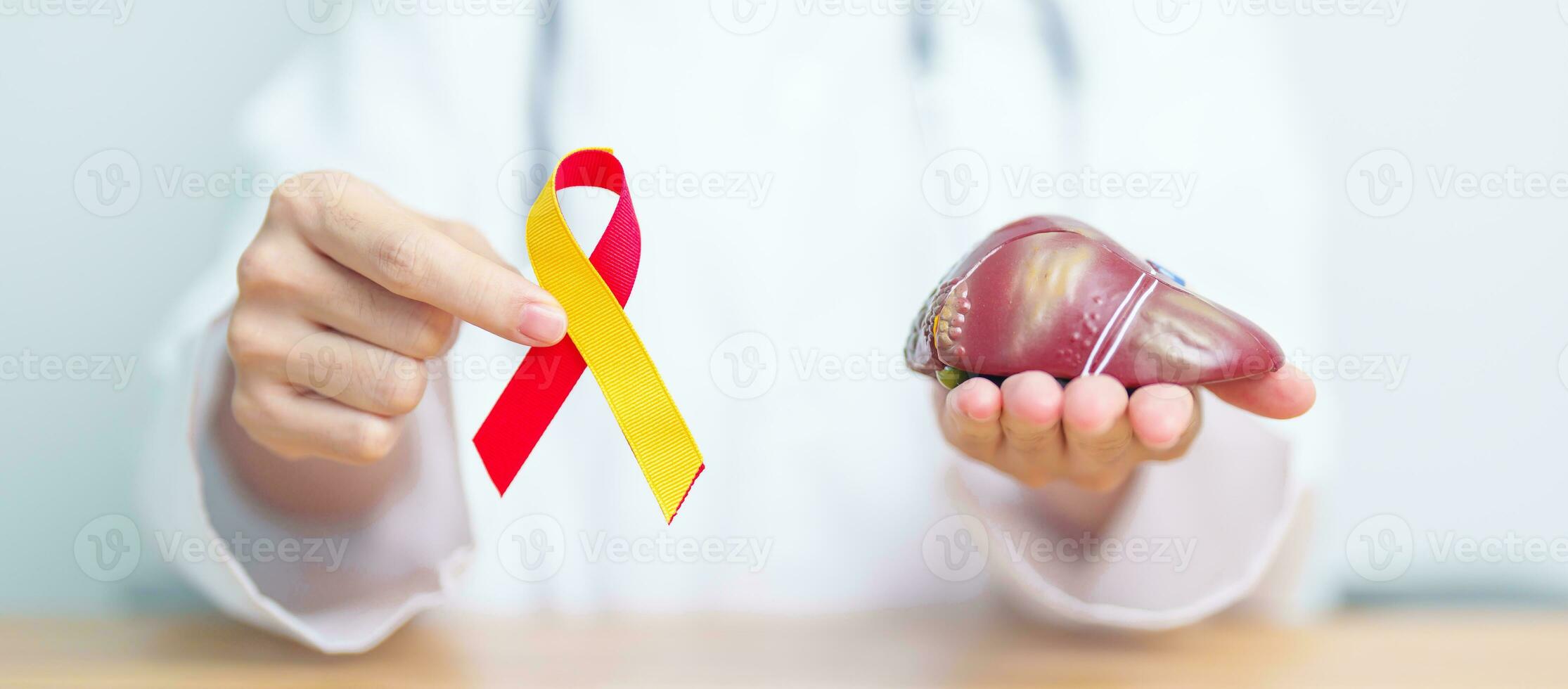 Doctor with Red and Yellow ribbon and human Liver anatomy model. World hepatitis day, 28 July, Liver cancer awareness month, Jaundice, Cirrhosis, Failure, Enlarged, Hepatic Encephalopathy and Health photo