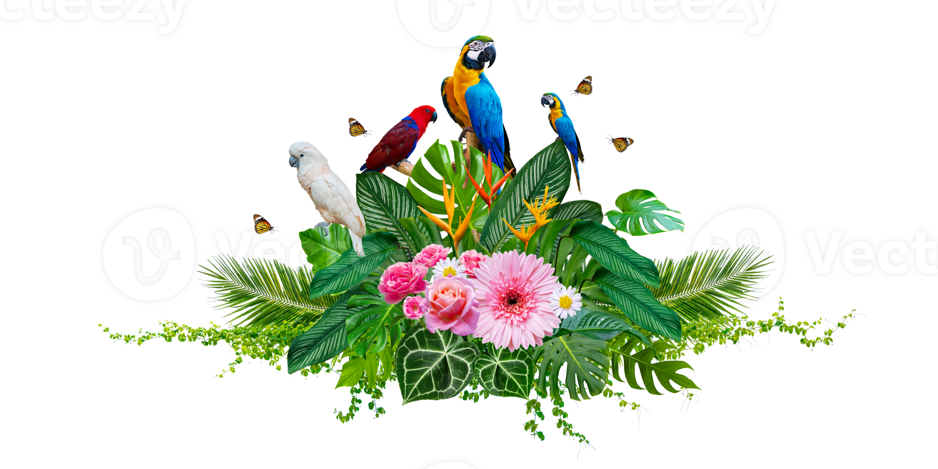 Cluster of bouquets and tropical leaves and with vines and macaws on white background. Isolate on transparent background PNG file.