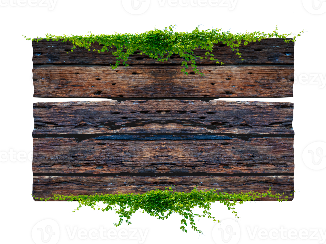 Dark brown antique plank frame background with tropical leaves and climbing vines on plank edges. Isolate on transparent background PNG file.