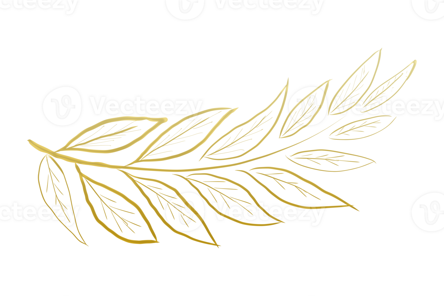 leaf line art golden hand drawn line art  isolate on transparent background PNG file golden stains on white background.