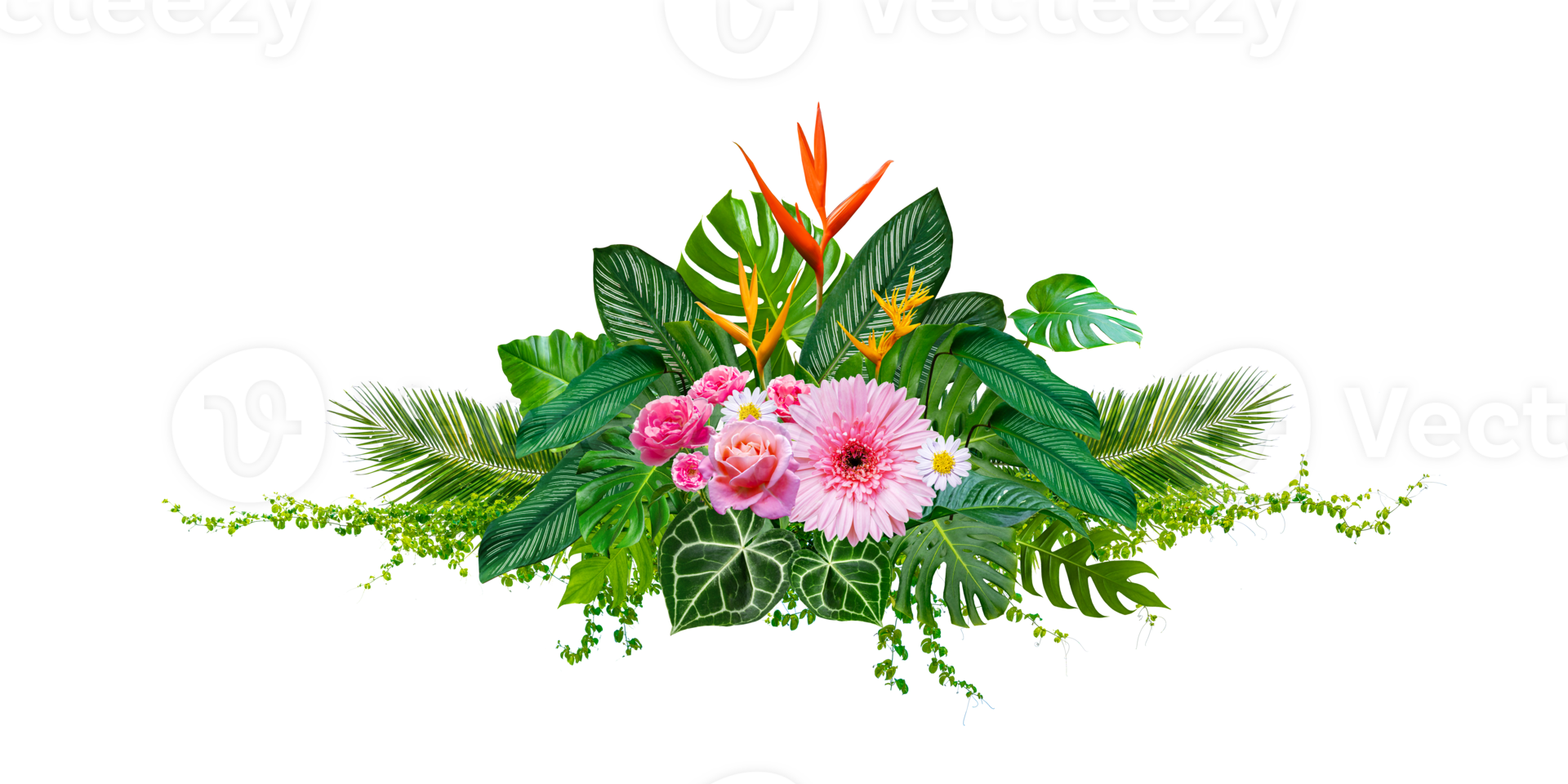 Cluster of bouquets and tropical jungle leaves and vines on white background. Isolate on transparent background PNG file.