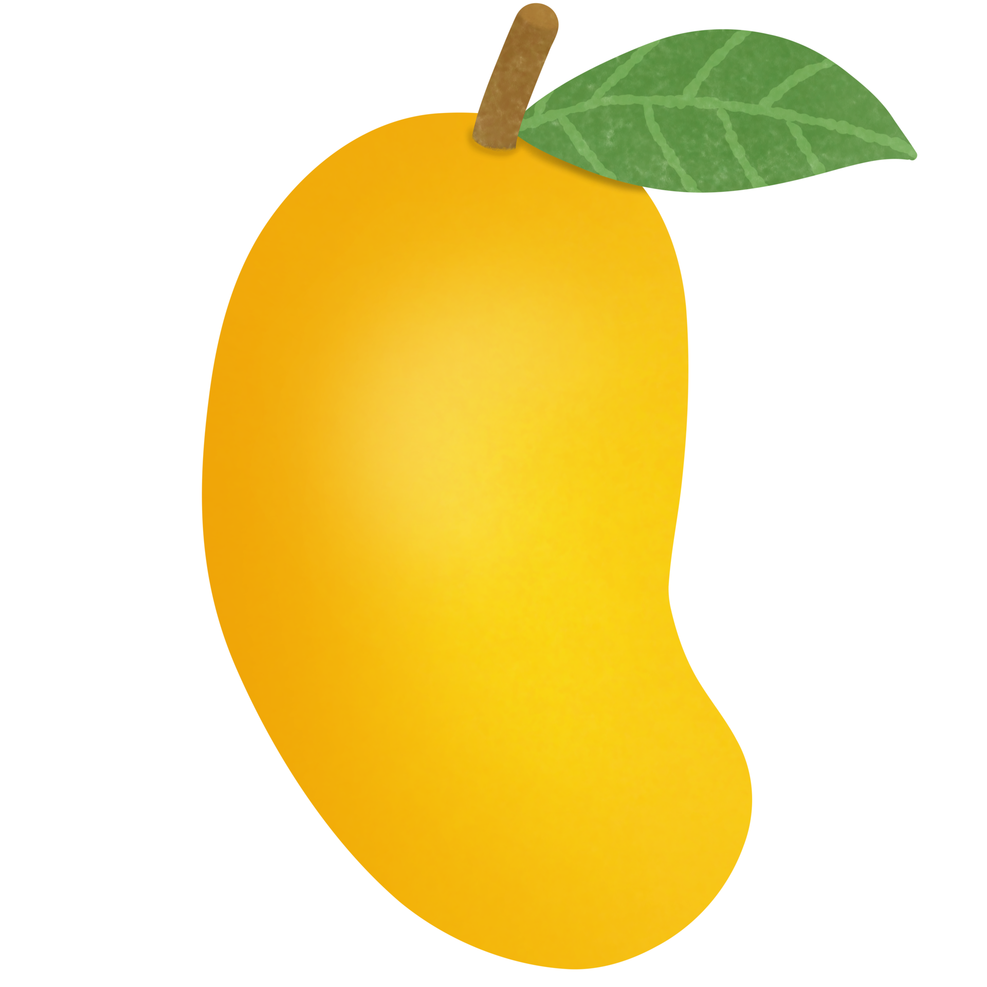 Drawing of mango isolated on transparent background for usage as an ...