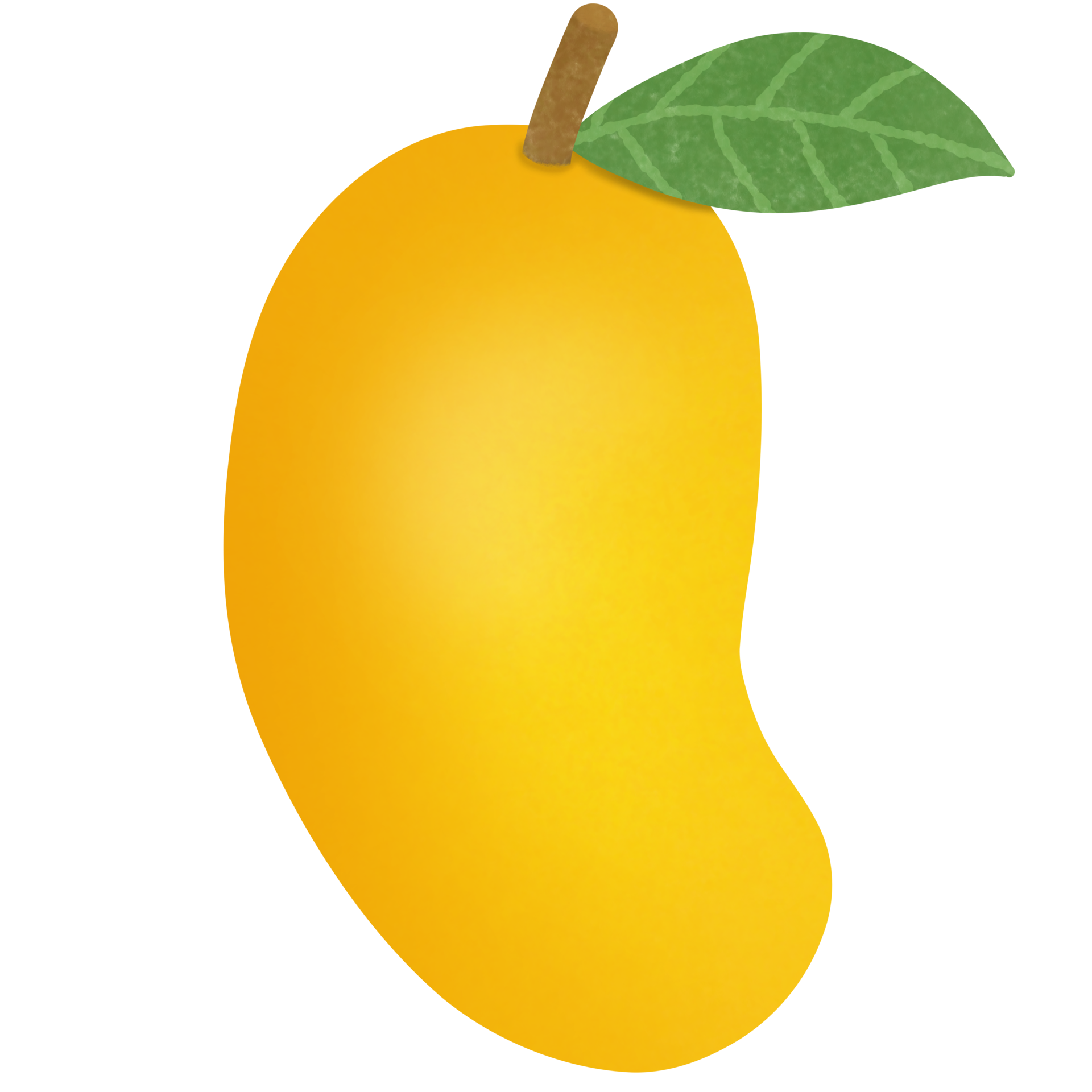 Drawing of mango isolated on transparent background for usage as an
