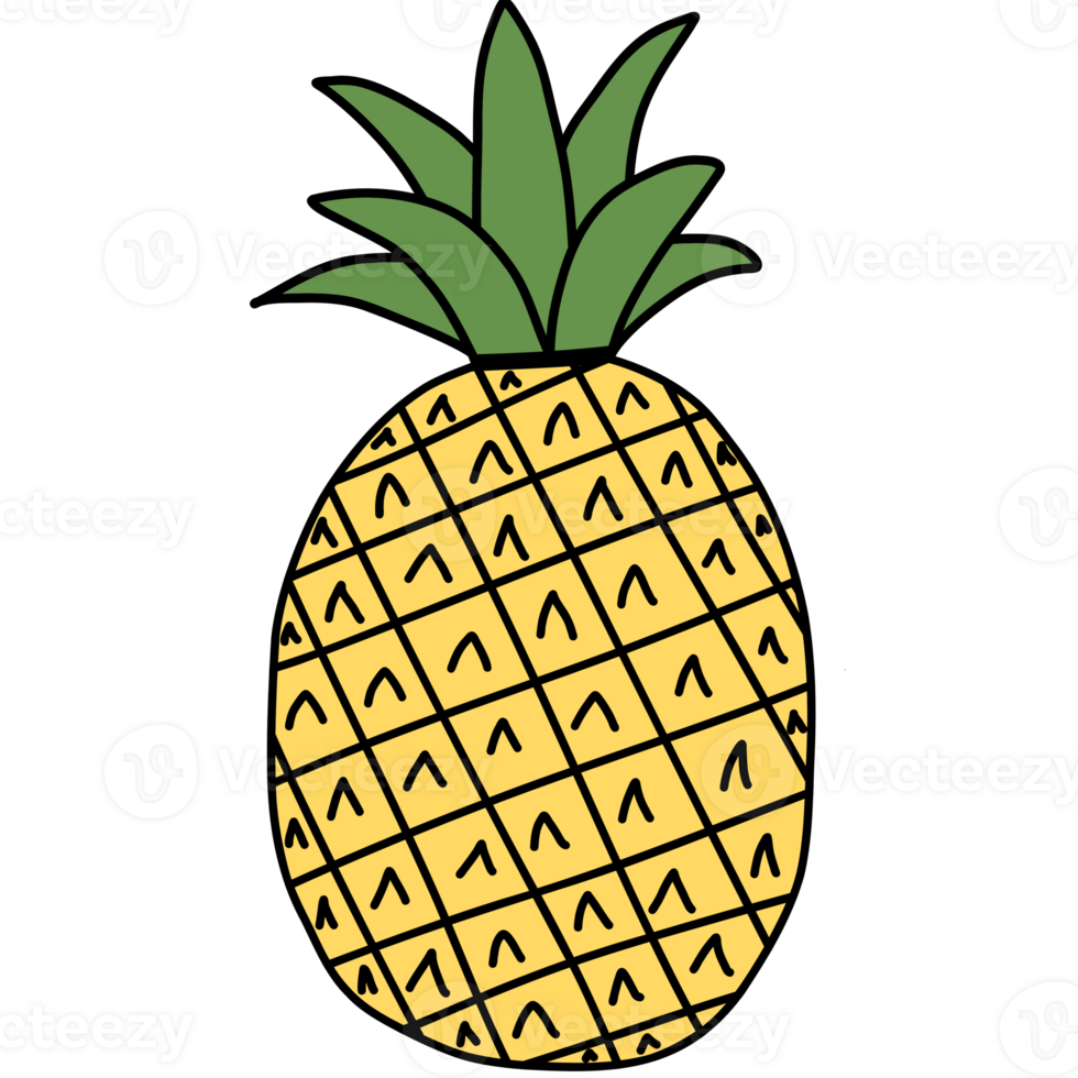 Drawing of pineapple isolated on transparent background for usage as an illustration, food, fruits and eating concept png