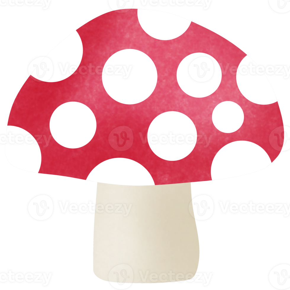 Drawing of mushroom isolated on transparent background for usage as an illustration, food, fruits and plant concept png