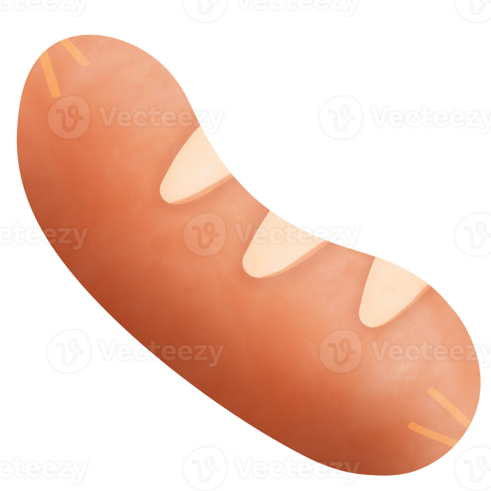 Drawing of sausage isolated on transparent background for usage as an illustration, food and eating concept png