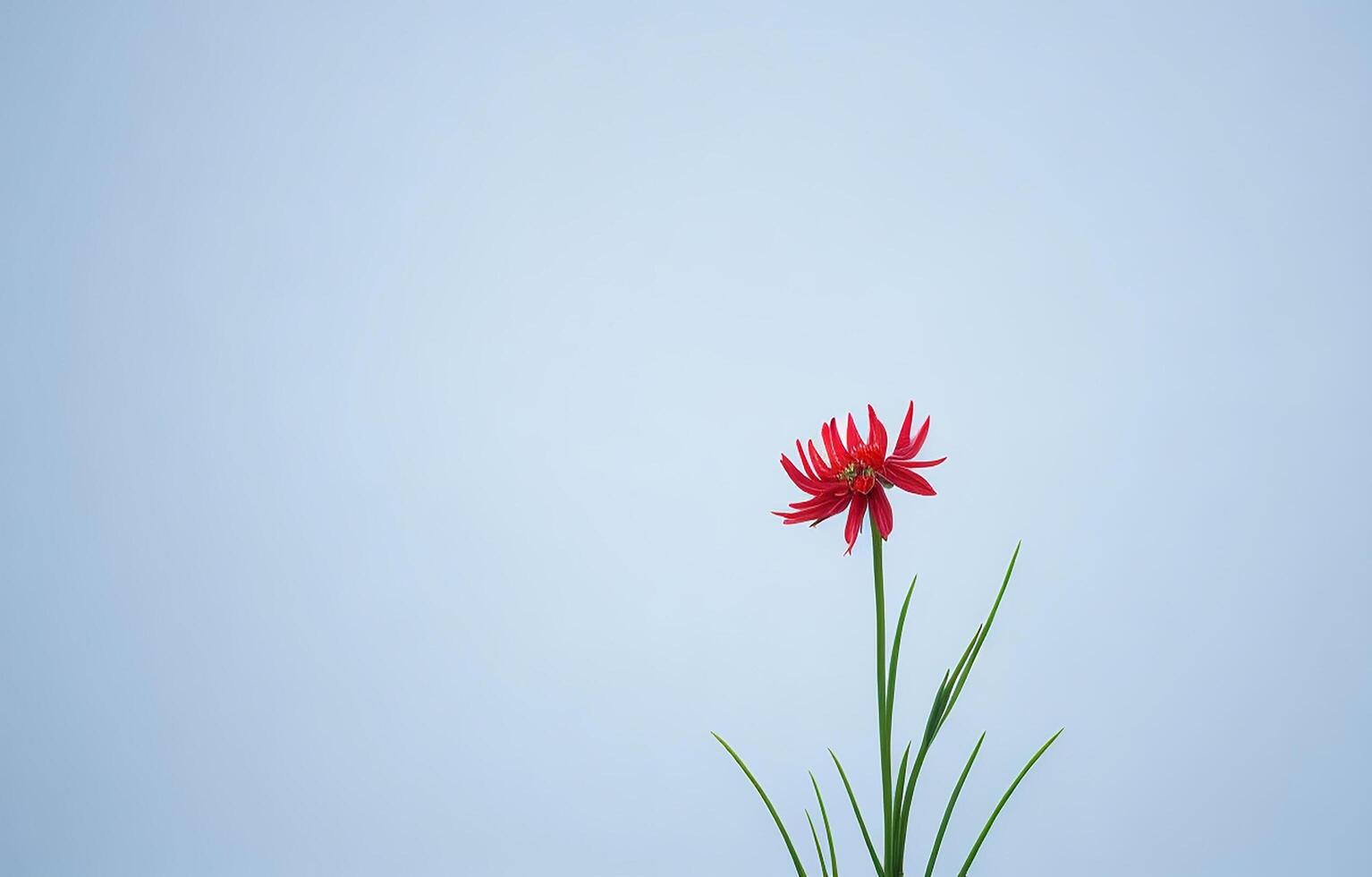 resumen blanco fondo, blanco fondo, naranja y blanco fondo, fondo, ai generado foto