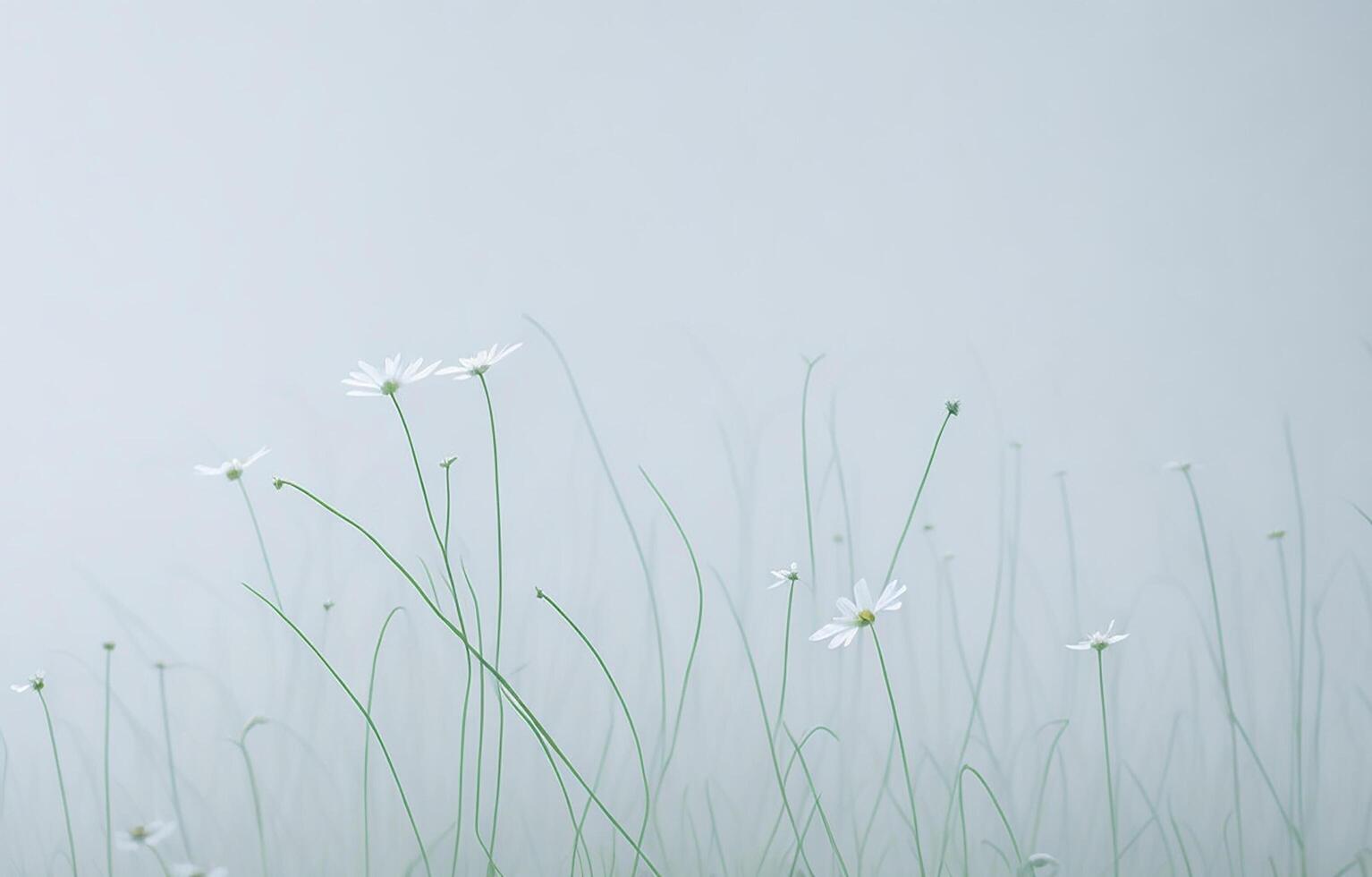 Abstract White Background, White Background, Orange And White Background, Background, photo