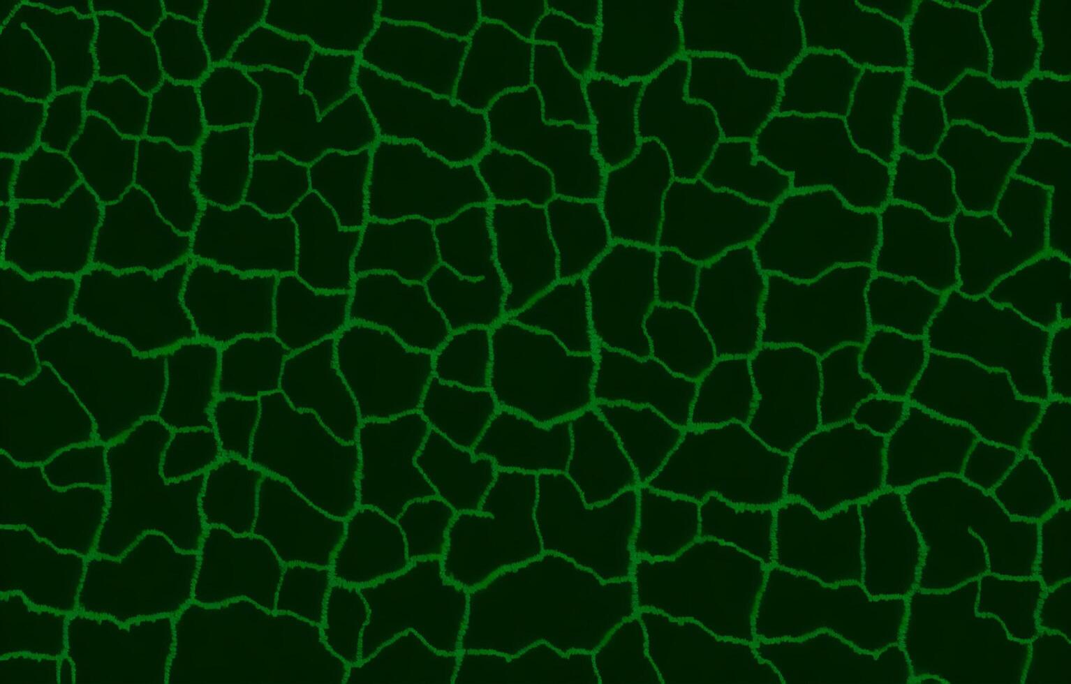Green Abstract Background, abstract Background, Green background, Background, photo