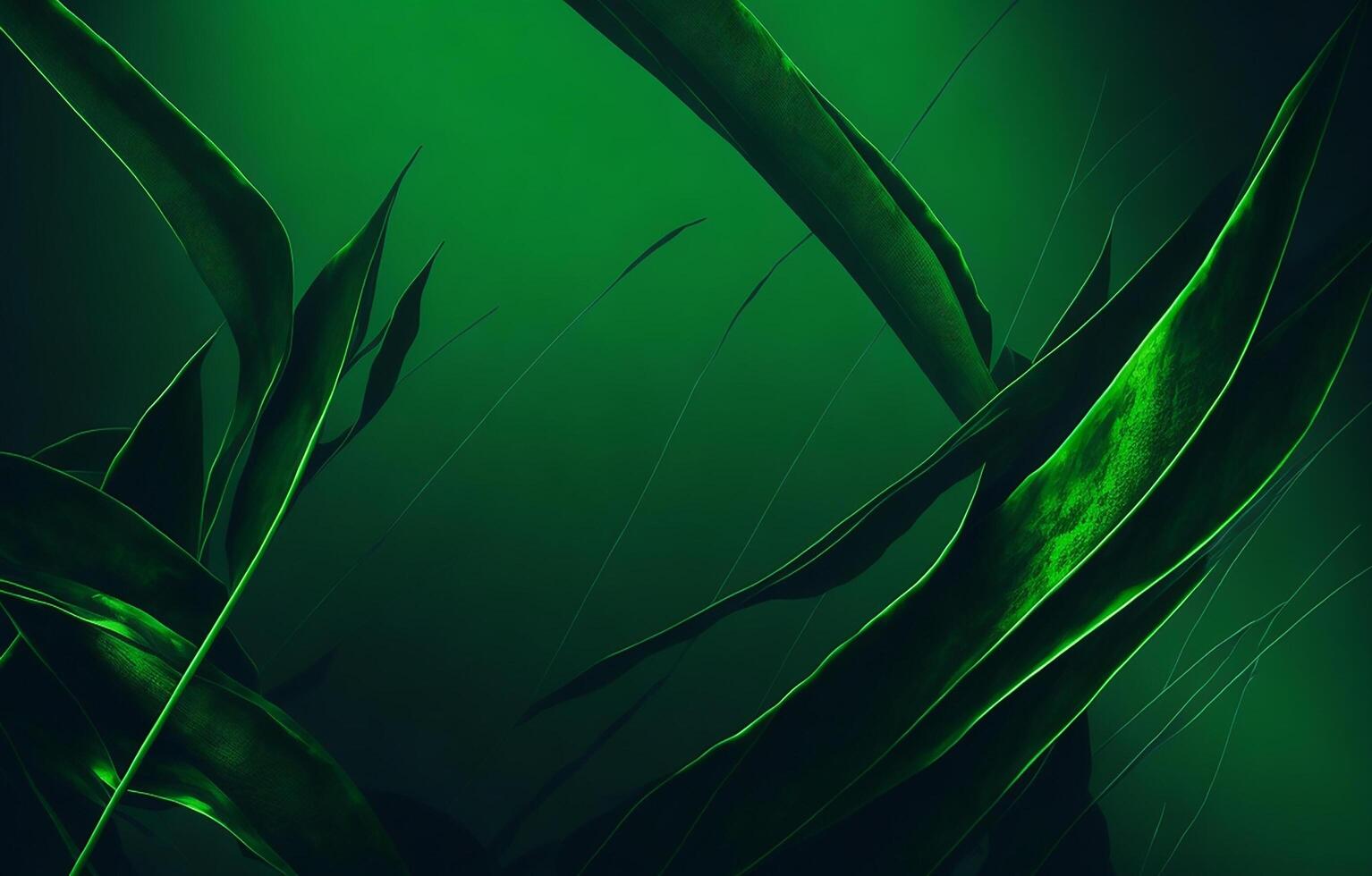 Green Abstract Background, abstract Background, Green background, Background, photo