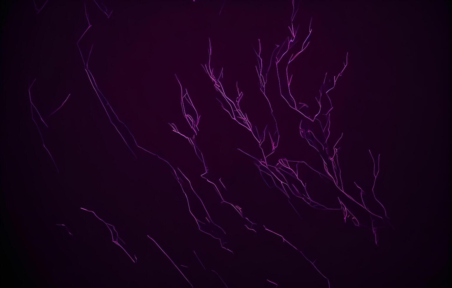 Purple Abstract Background, Abstract Background, photo