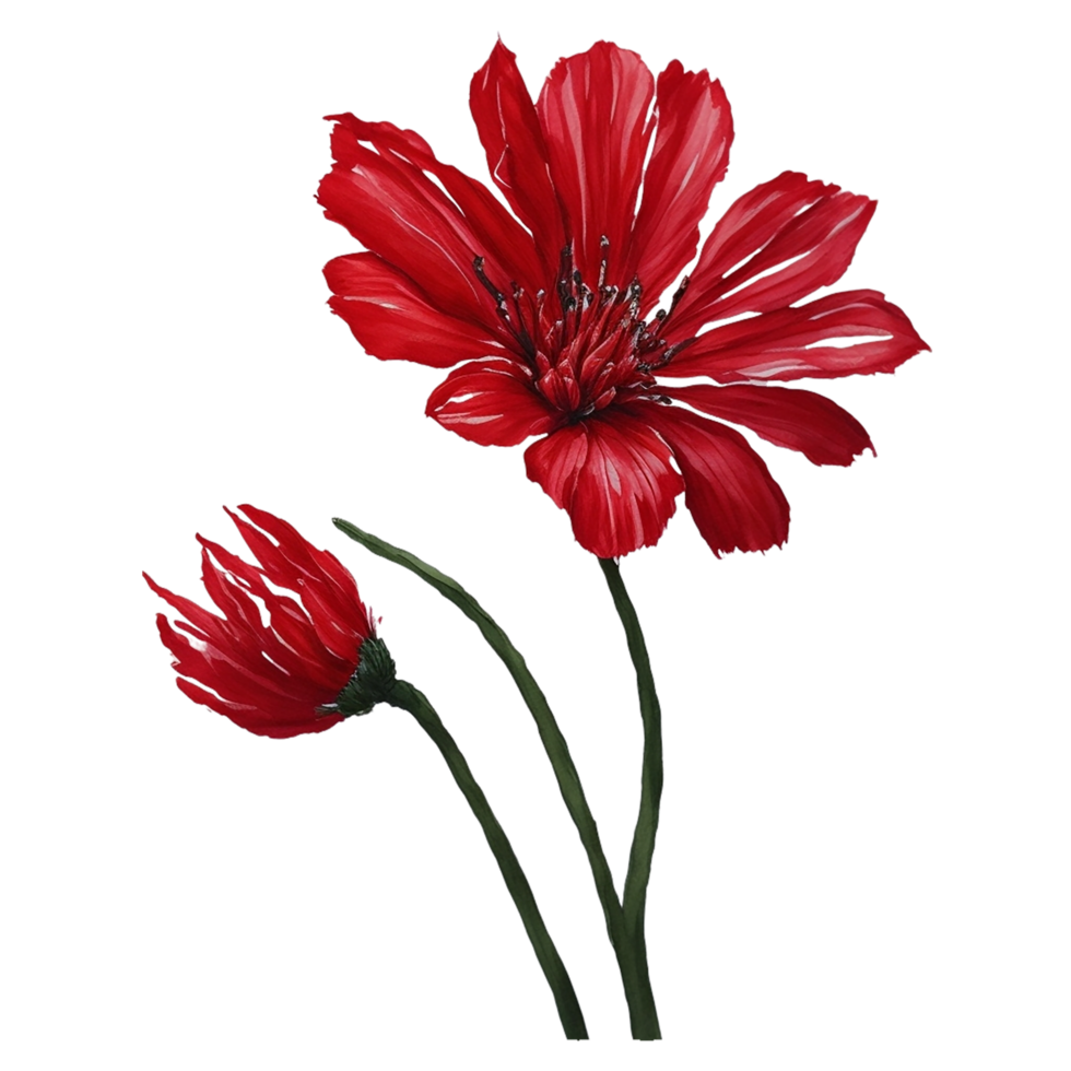 waterverf bloem ontwerp, waterverf bloem bloemen ontwerp, waterverf bloem arrangementen, bloem sublimatie bloemen clip art, bruiloft, ai gegenereerd png