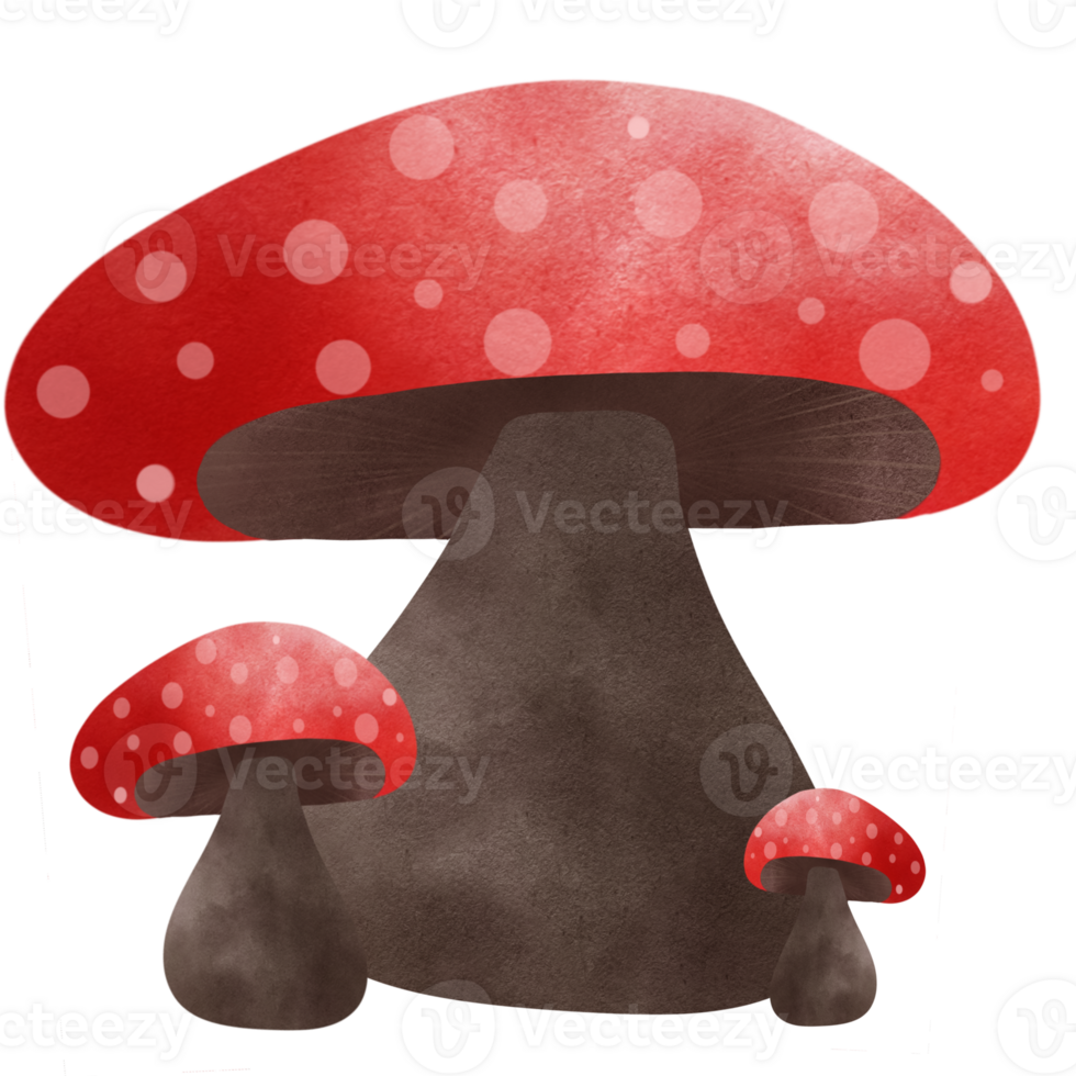 Mushroom red color so cute and minimal png