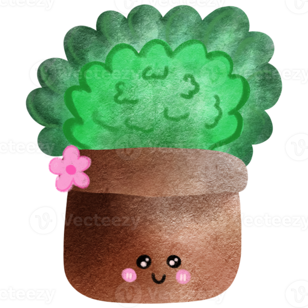 Tree planners garden and environment cactus png