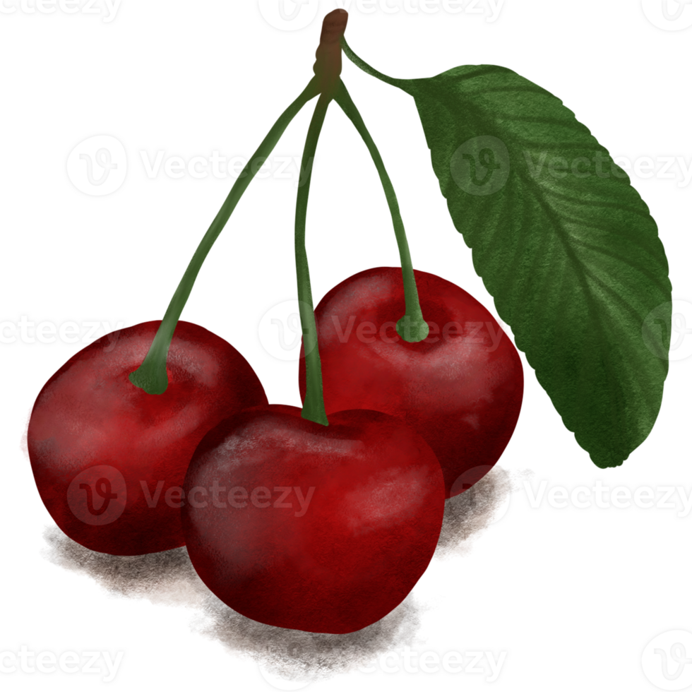 Cherry fruit red very juicy png