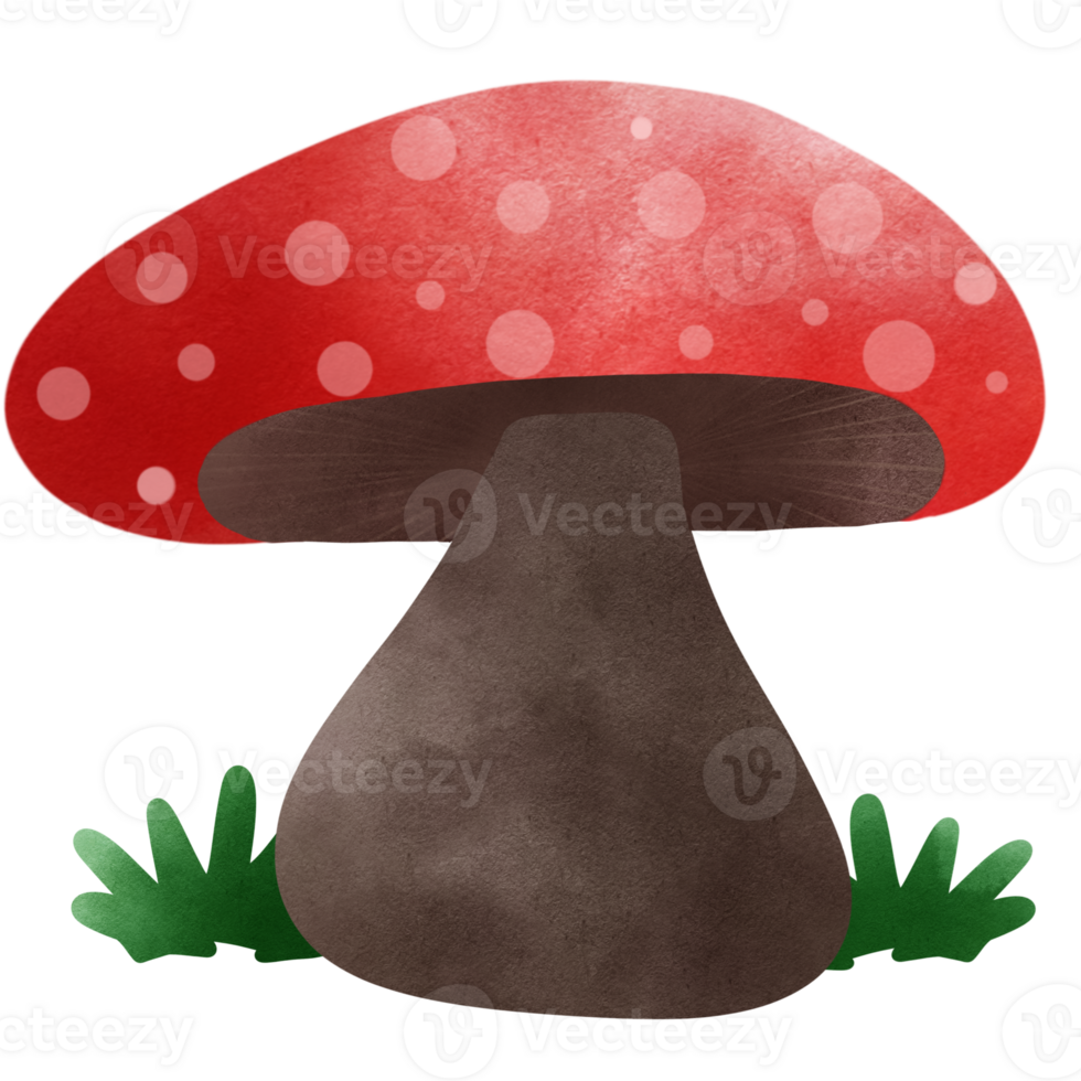 Mushroom red color so cute and minimal png