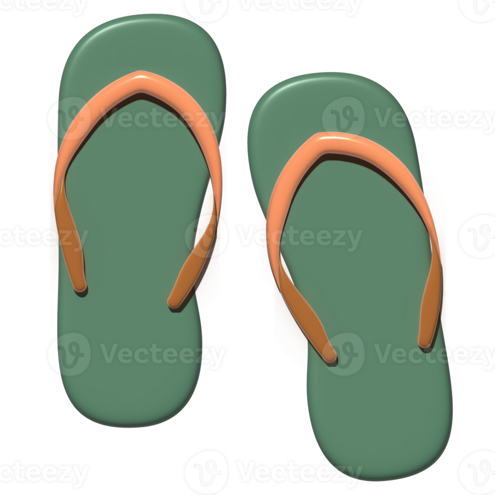 Flip flops color 3d png