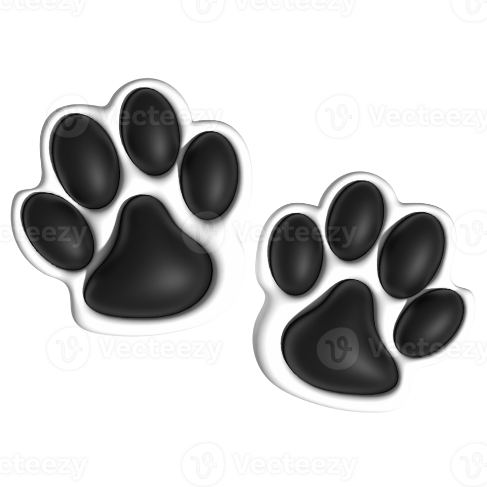 Animal paw 3d render png