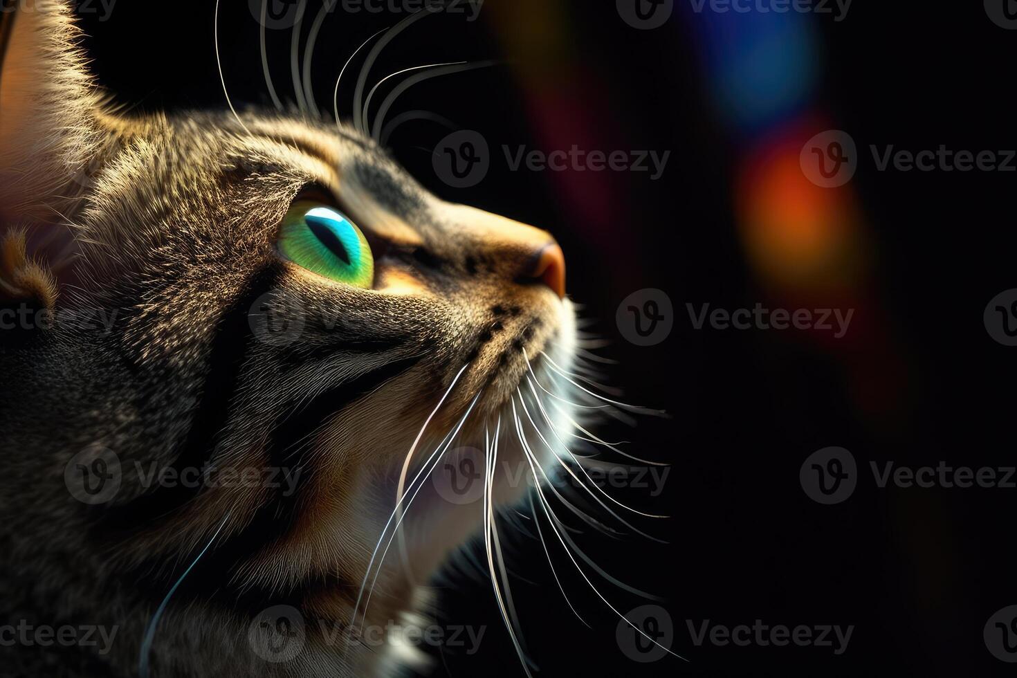 Close-up photo of cat with butterfly on nose.