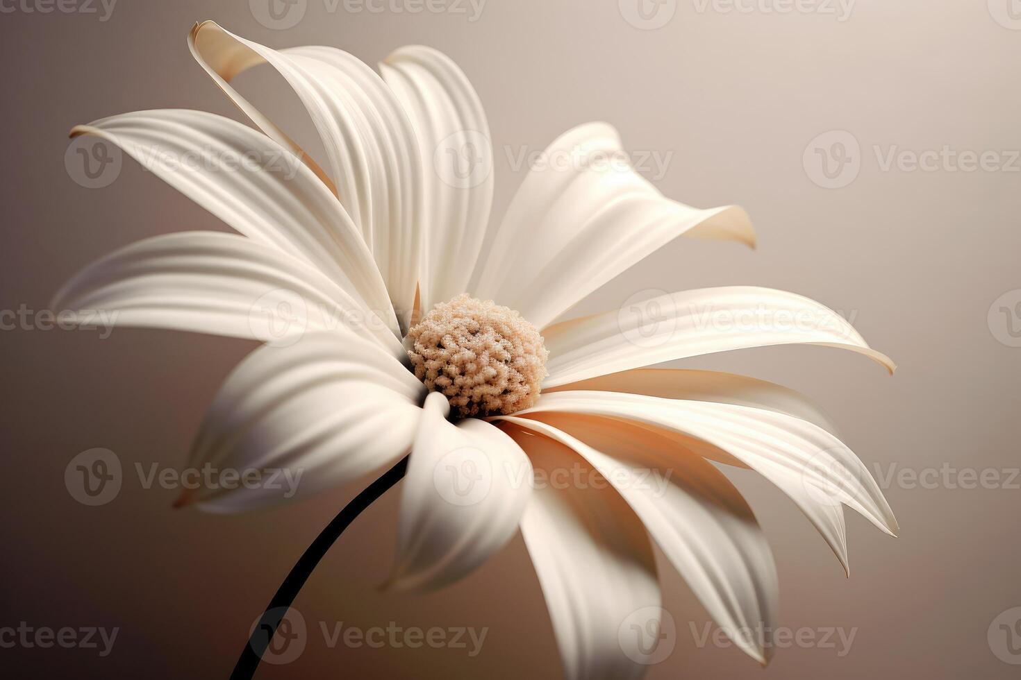 A still - life photograph of a single flower against a plain background.  Generative AI photo