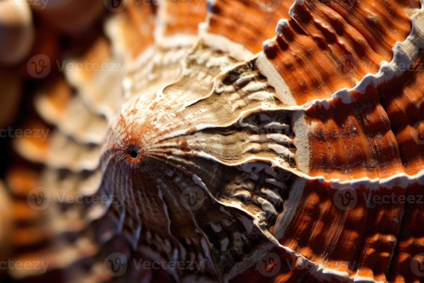 The intricate patterns and textures of a seashell in a close - up shot. Generative AI photo