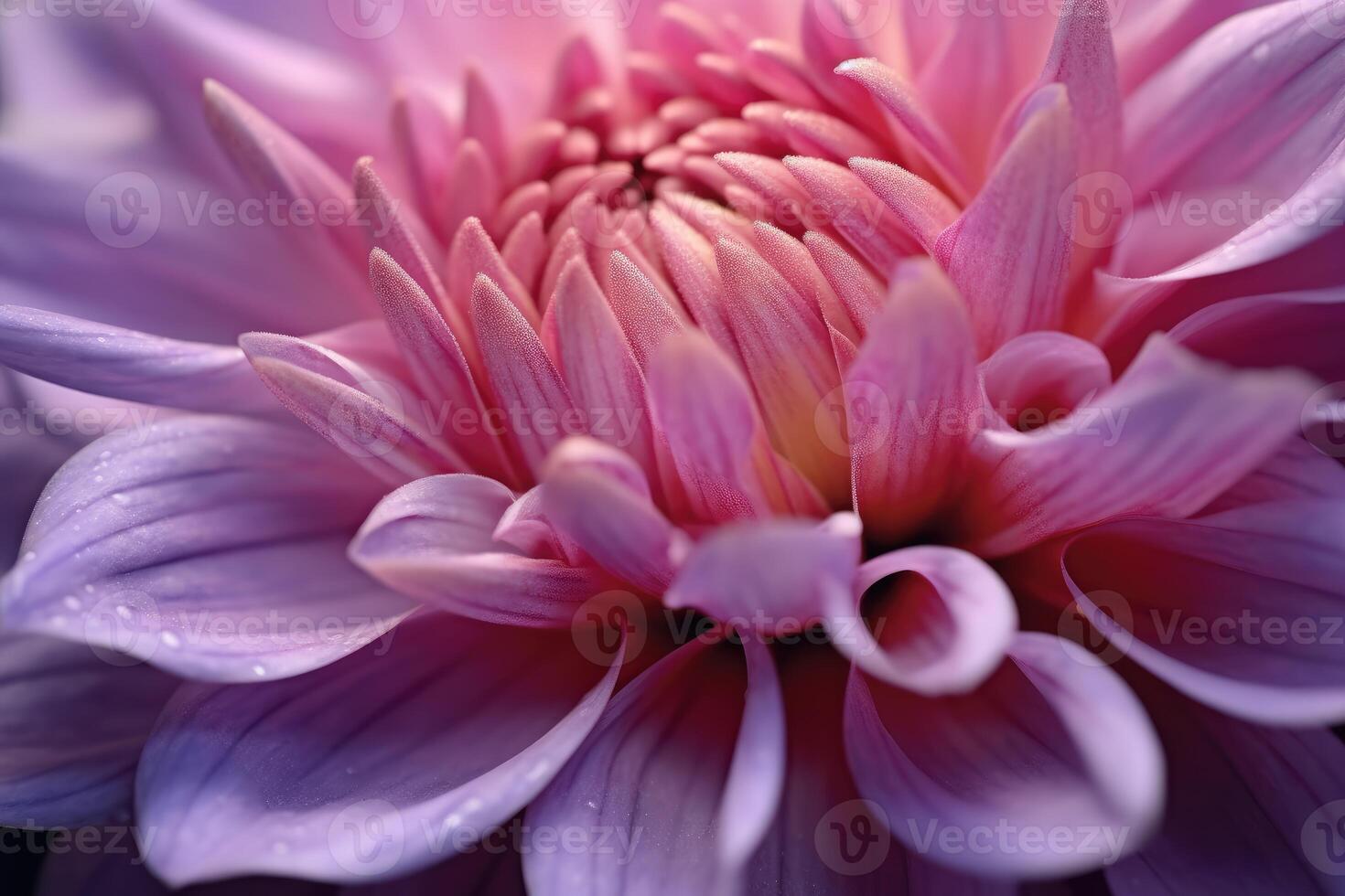 The intricate details of a blooming flower in a macro shot. photo