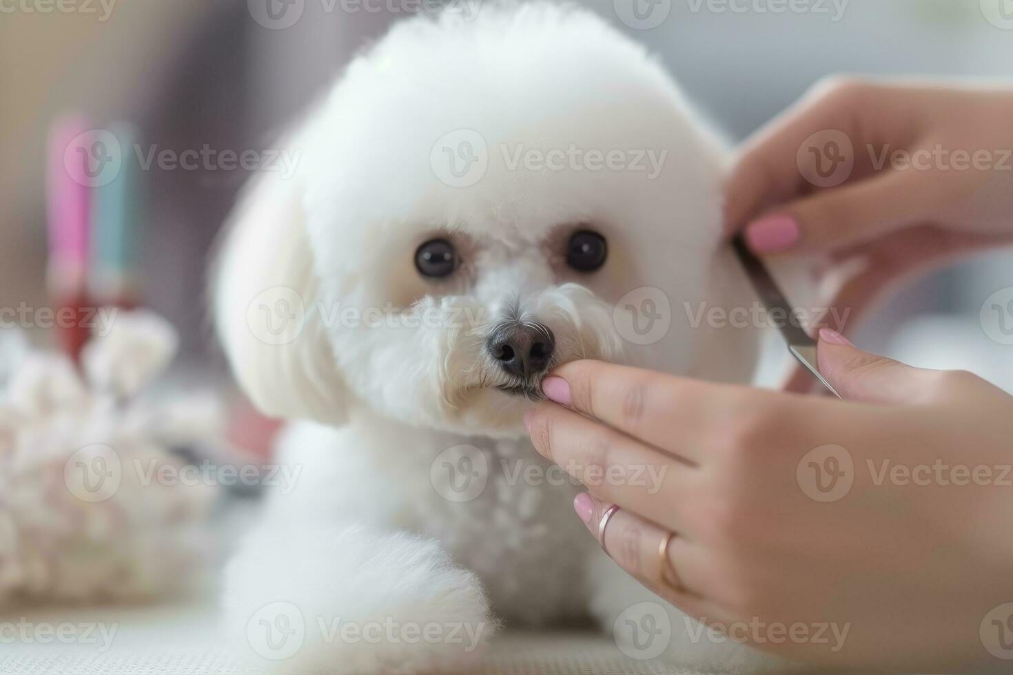 Professional pet groomer as she delicately trims the fur of a fluffy dog at a grooming salon. Generative AI photo